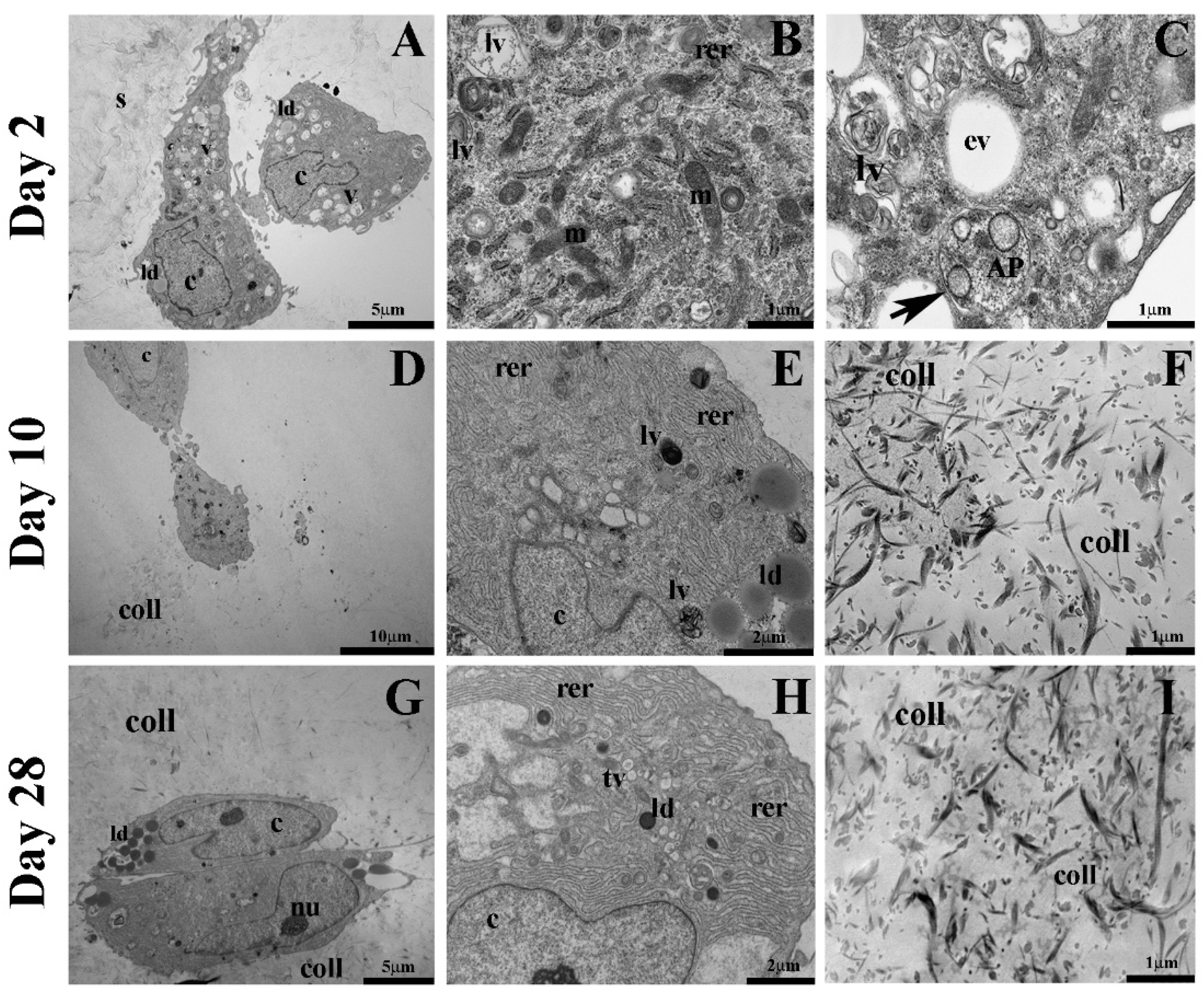 Gels 08 00766 g009 Gels 08 00766 g009