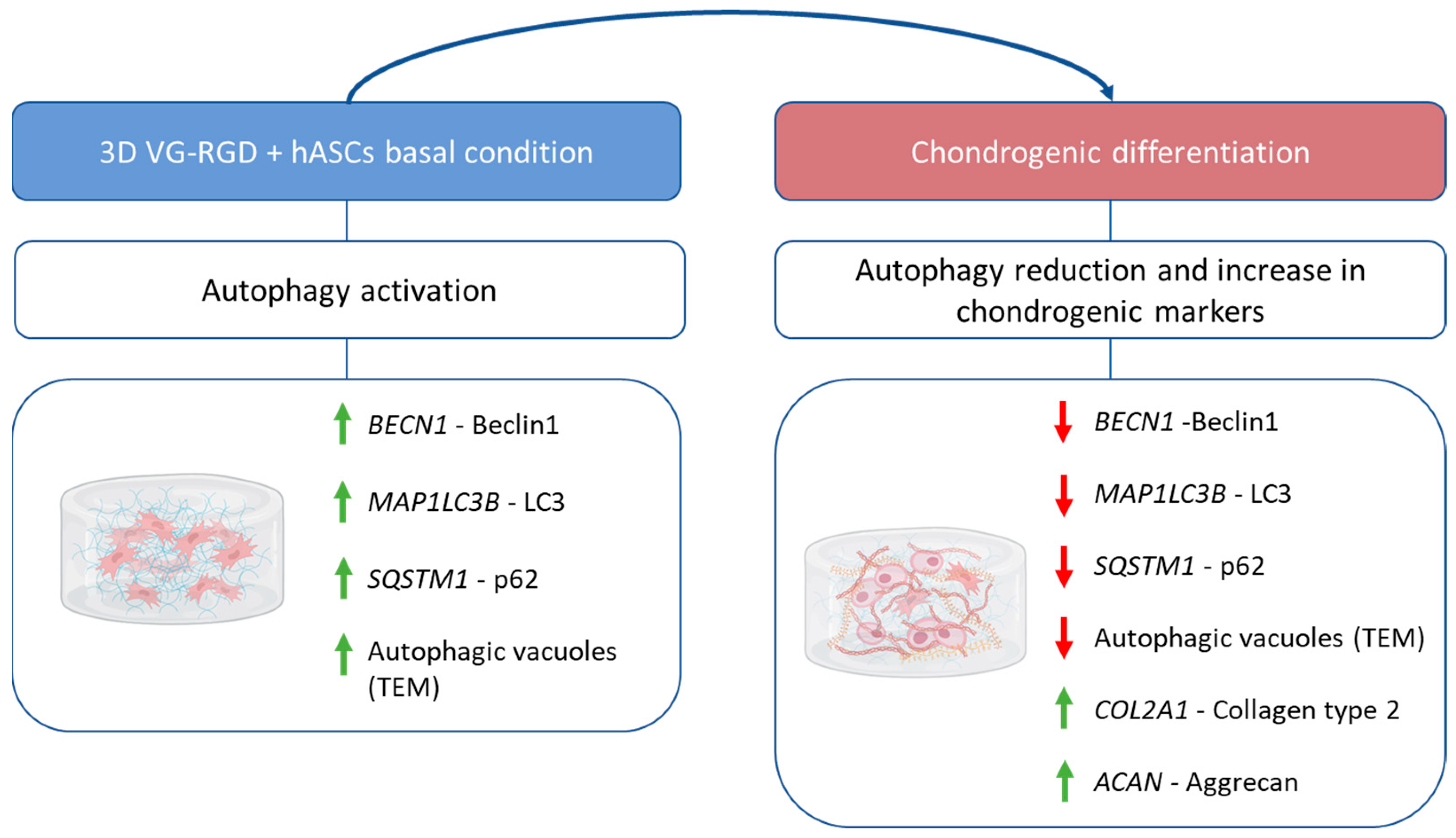 Gels 08 00766 g010 Gels 08 00766 g010