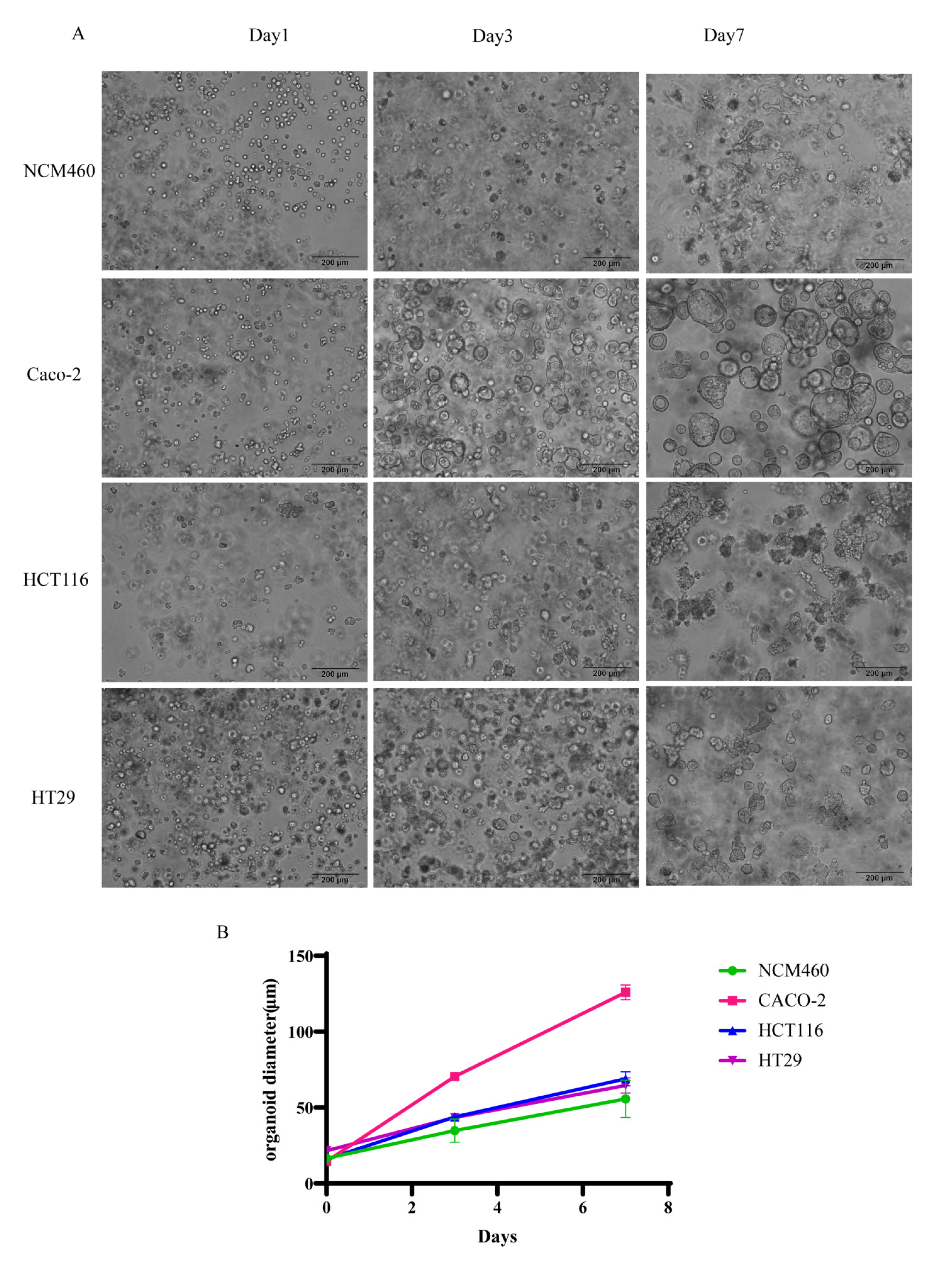 Gels 08 00770 g004 Gels 08 00770 g004