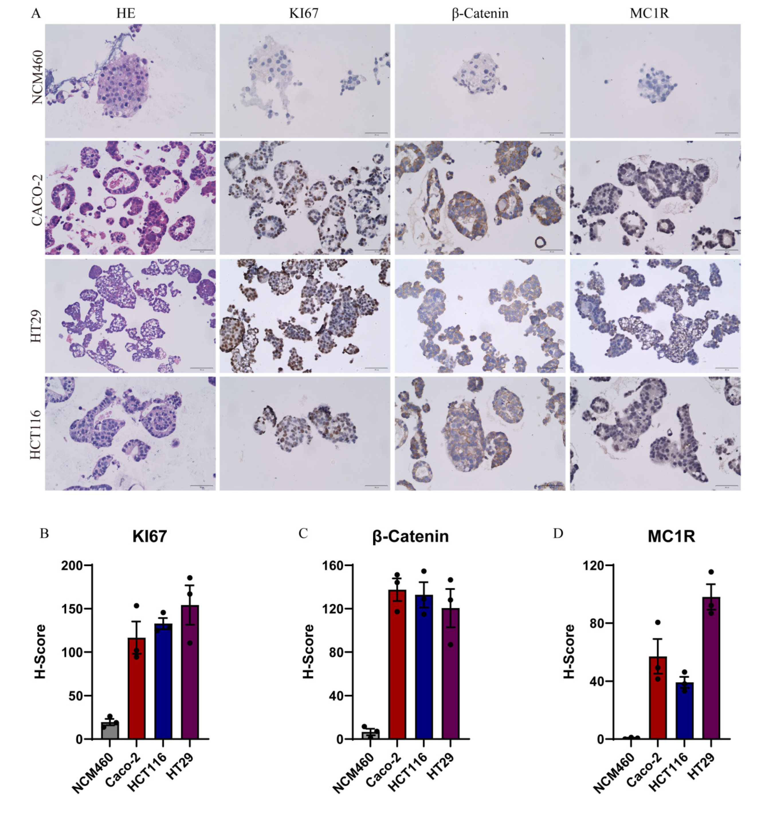 Gels 08 00770 g005 Gels 08 00770 g005