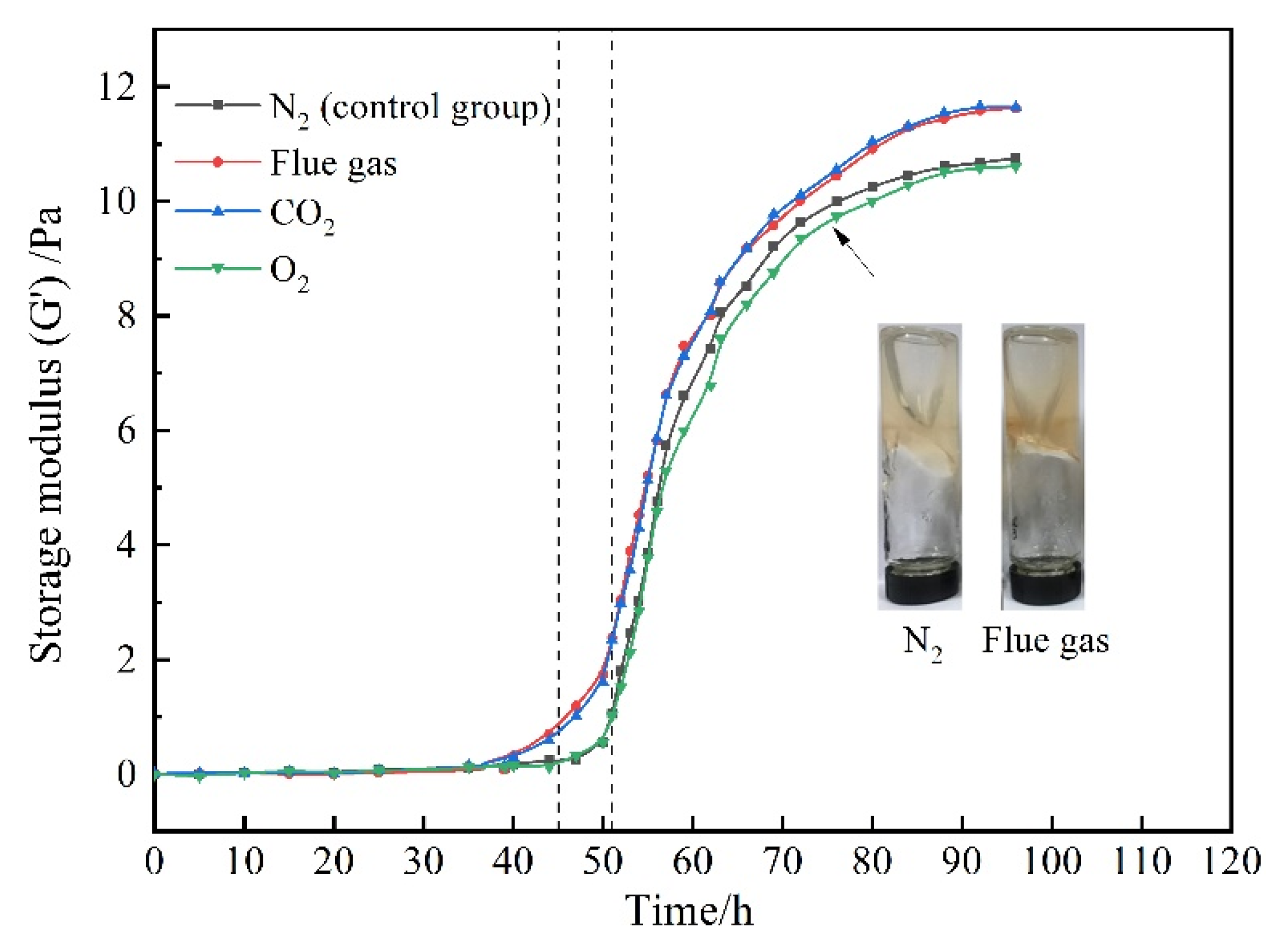 Gels 08 00772 g003 Gels 08 00772 g003