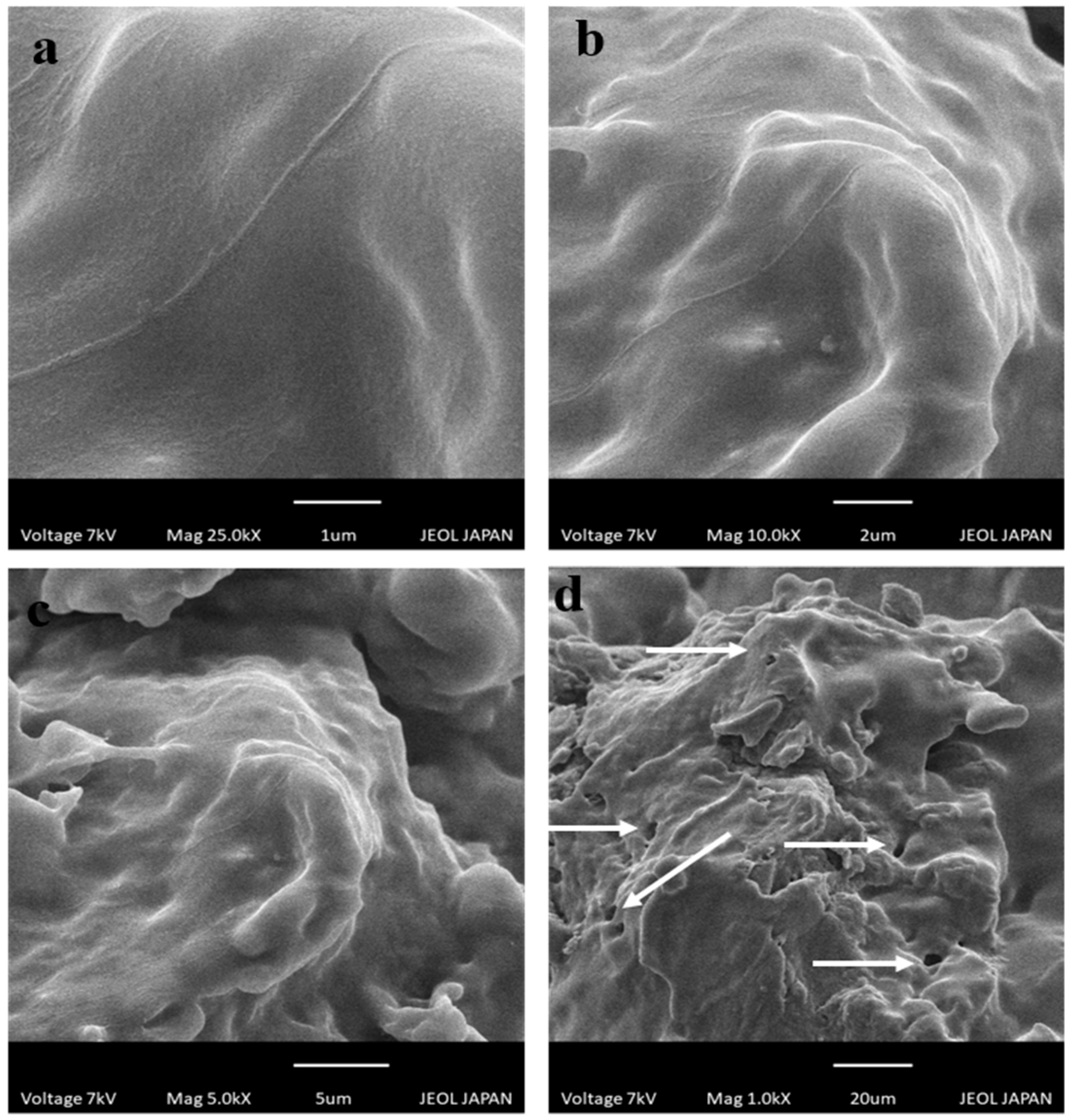 Gels 08 00775 g005 Gels 08 00775 g005