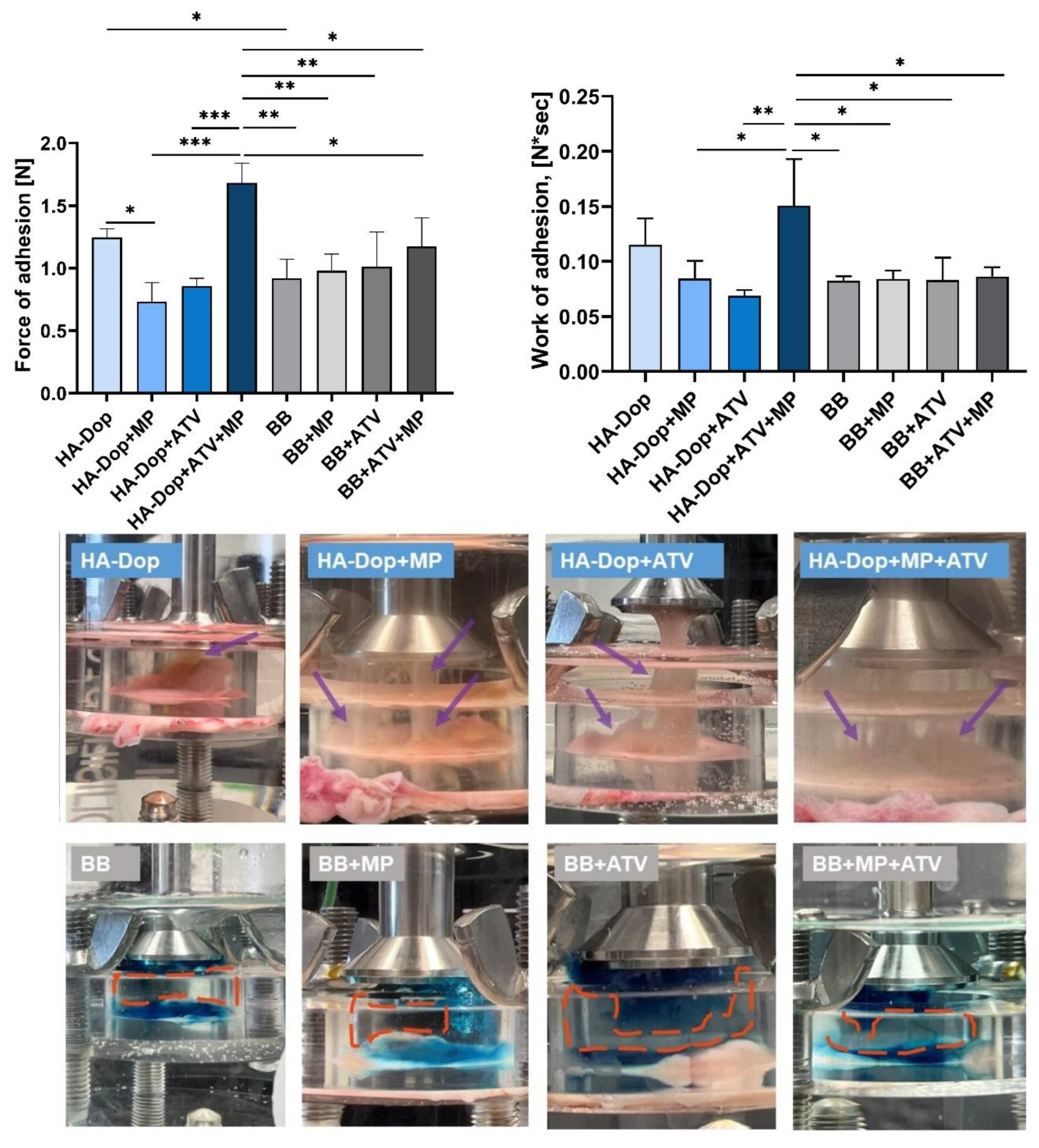 Gels 08 00776 g004 Gels 08 00776 g004