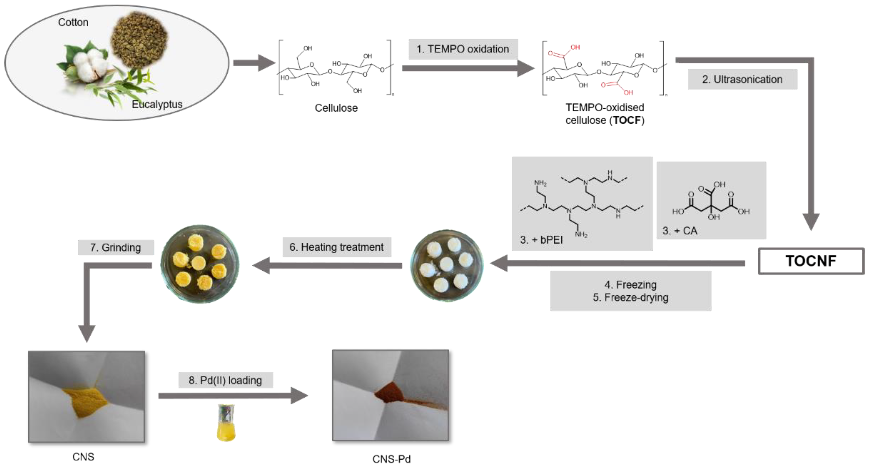 Gels 08 00789 sch001