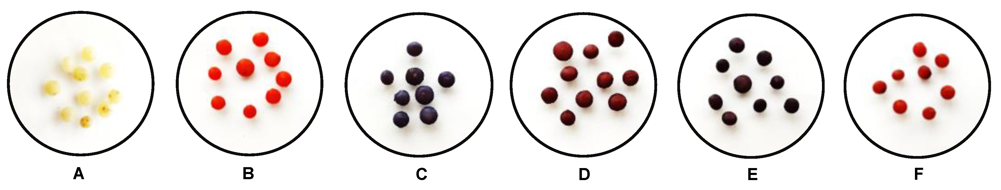 Gels 08 00795 g002 Gels 08 00795 g002