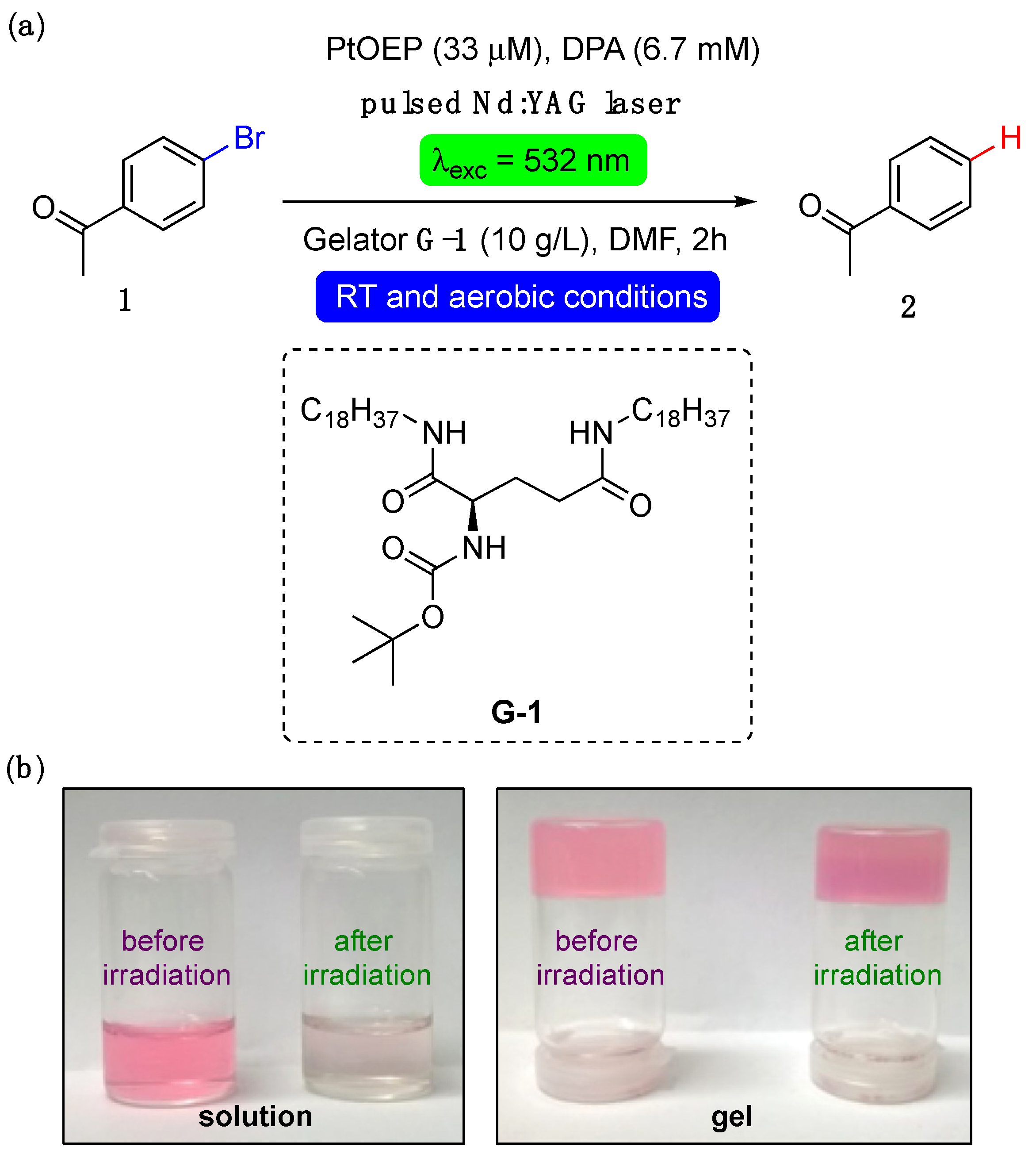 Gels 08 00800 g001 Gels 08 00800 g001