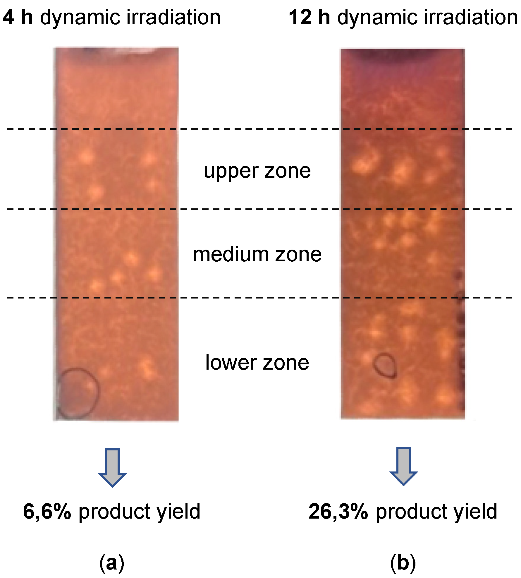 Gels 08 00800 g003 Gels 08 00800 g003