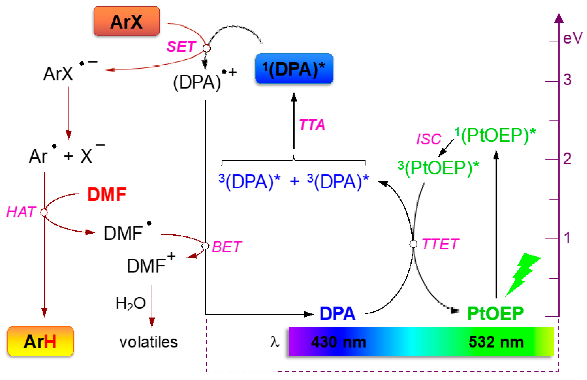 Gels 08 00800 sch001 Gels 08 00800 sch001