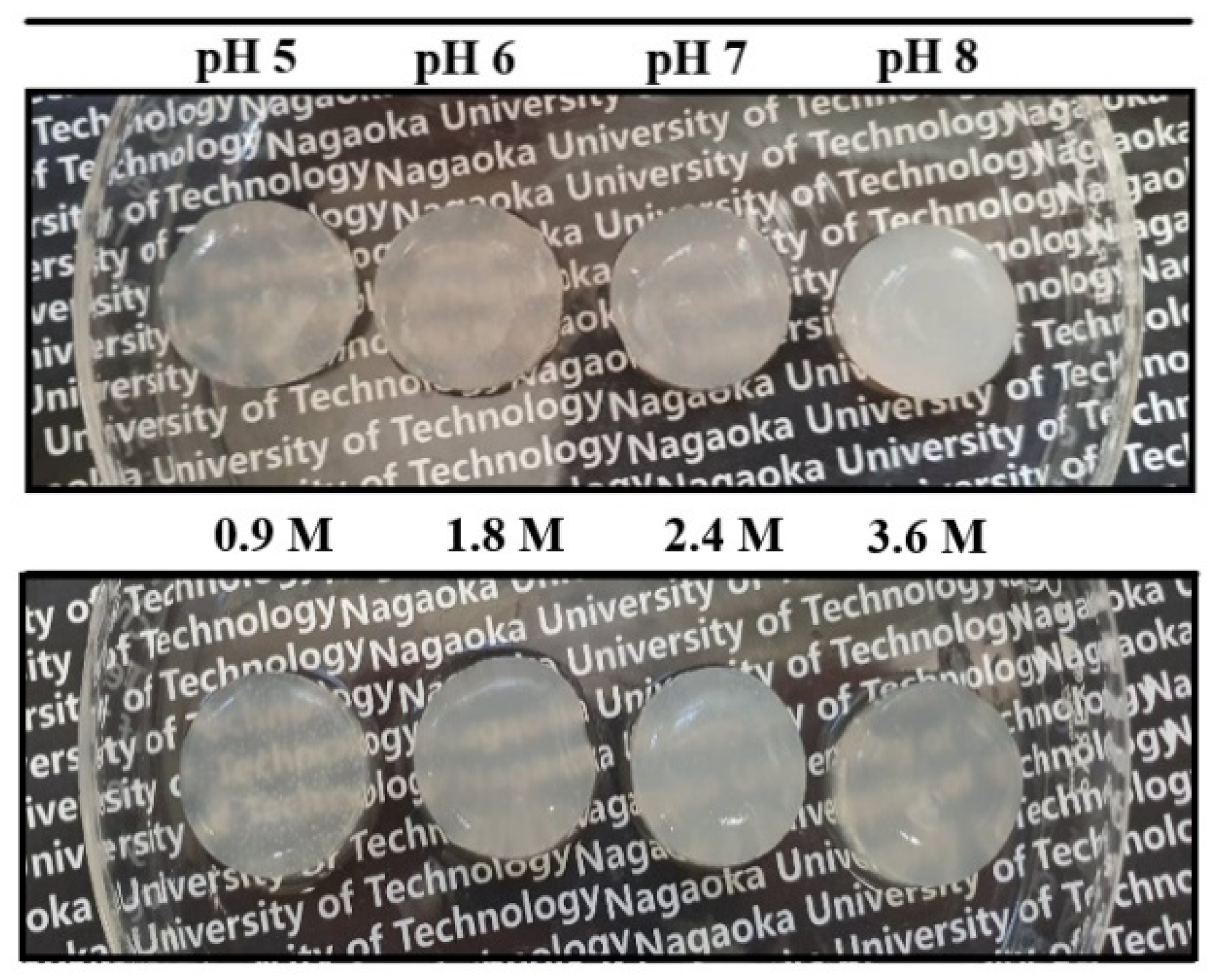 Gels 08 00814 g003 Gels 08 00814 g003