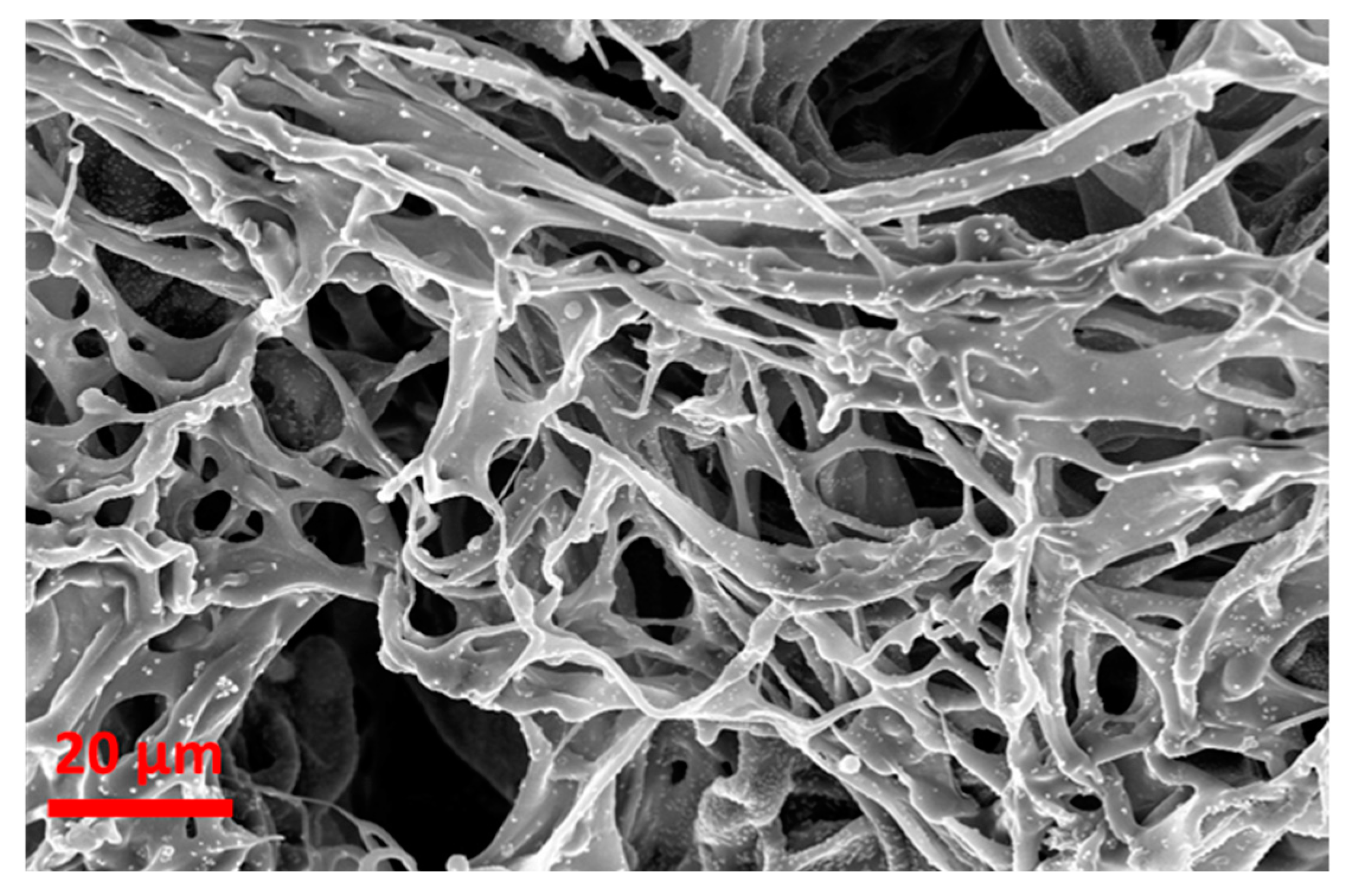 Gels 08 00817 g009 Gels 08 00817 g009