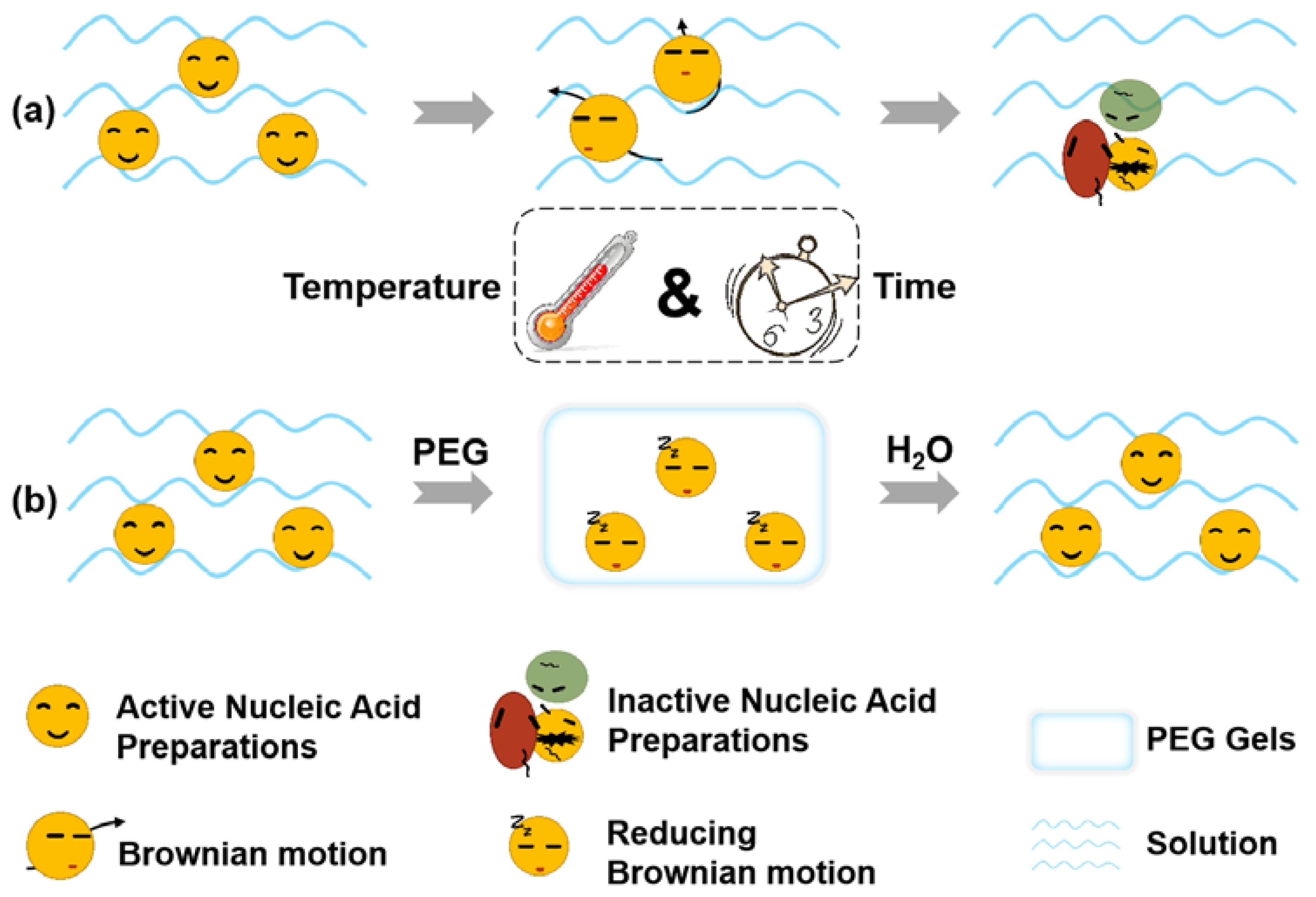 Gels 08 00819 g001 Gels 08 00819 g001