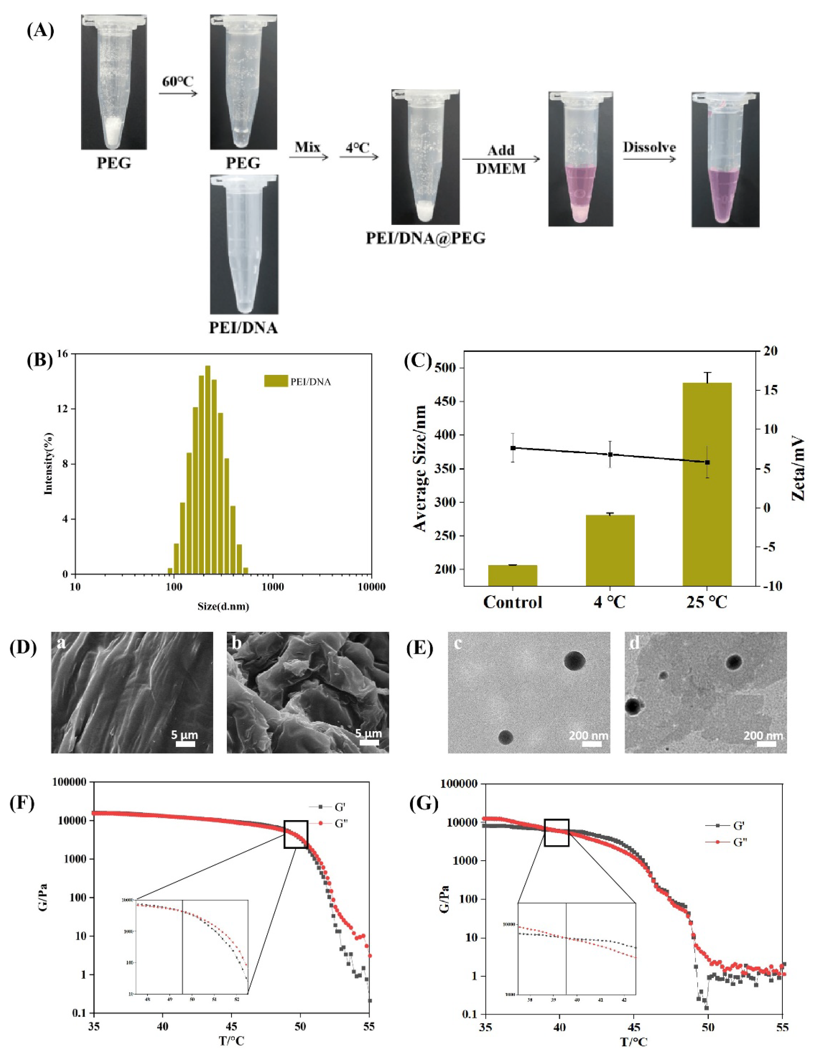 Gels 08 00819 g002 Gels 08 00819 g002