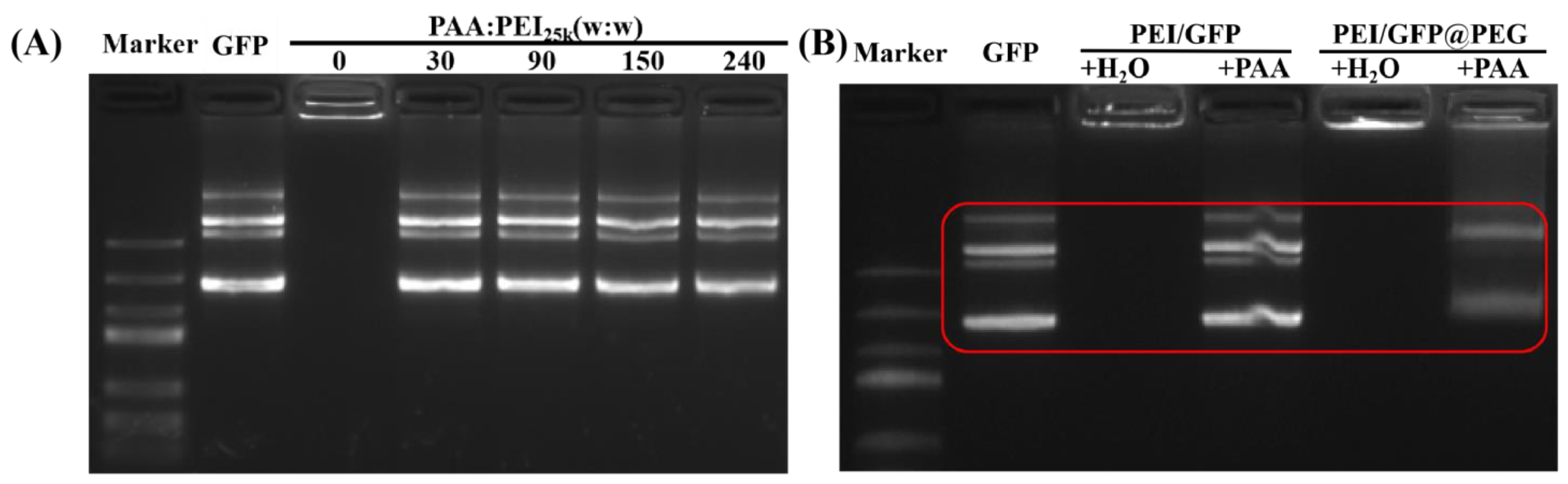 Gels 08 00819 g003 Gels 08 00819 g003