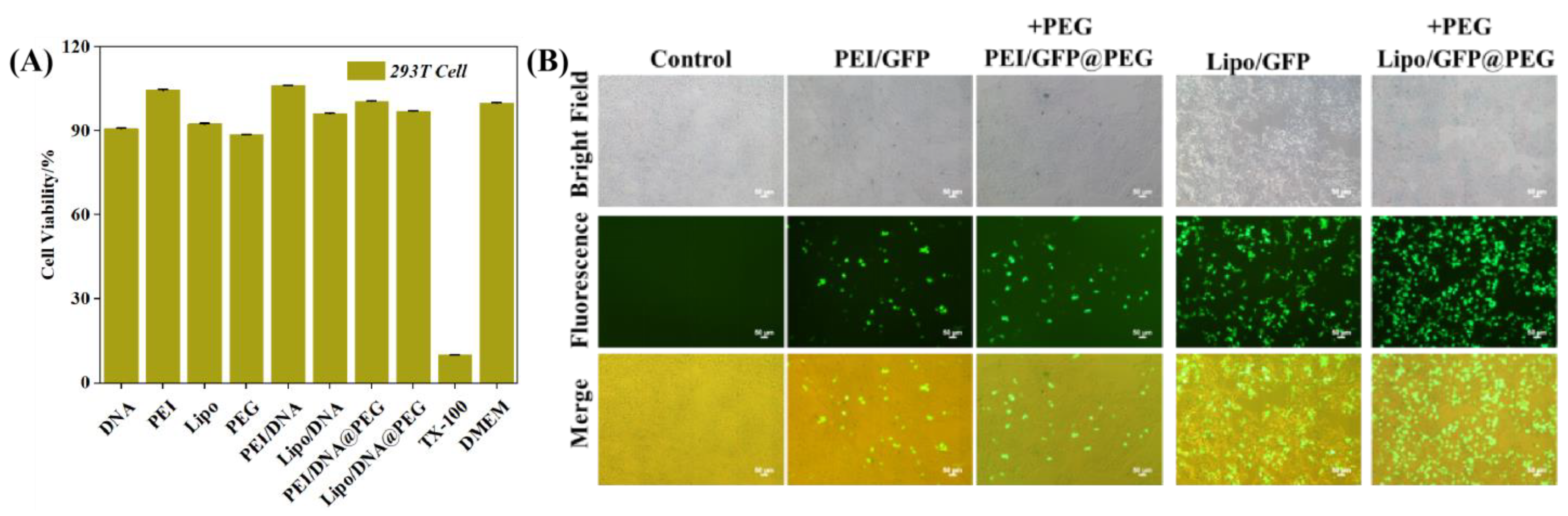 Gels 08 00819 g004 Gels 08 00819 g004
