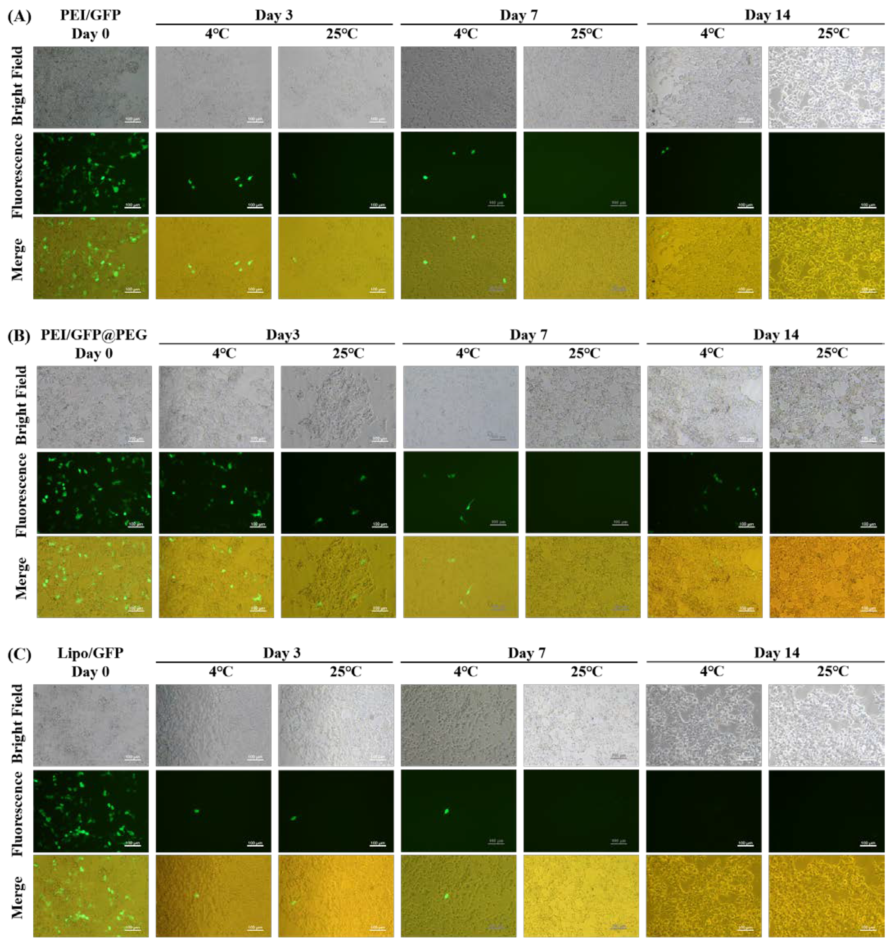Gels 08 00819 g005a Gels 08 00819 g005a
