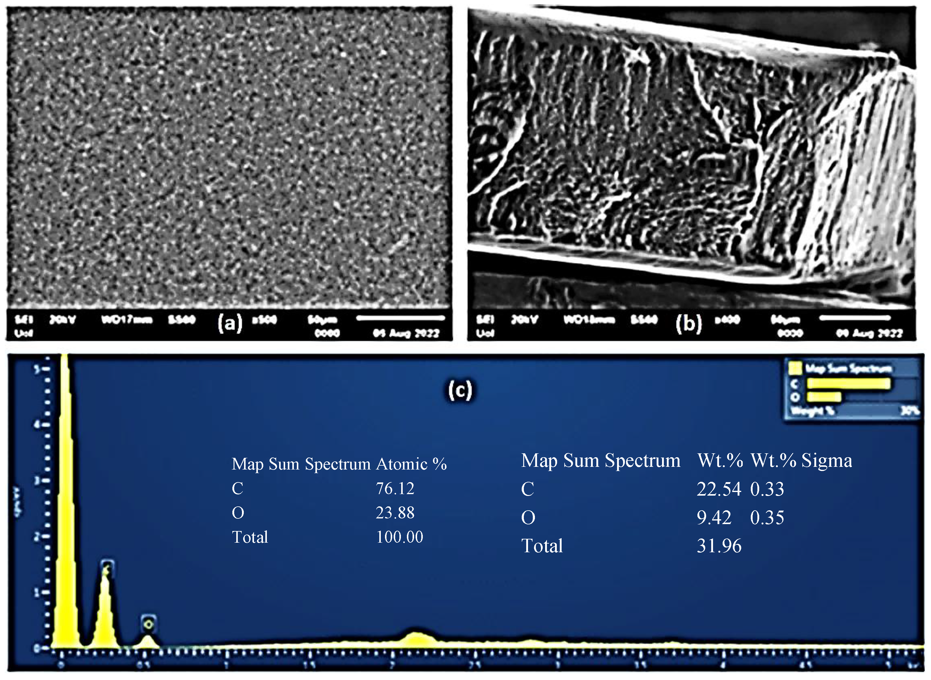 Gels 08 00823 g004 Gels 08 00823 g004