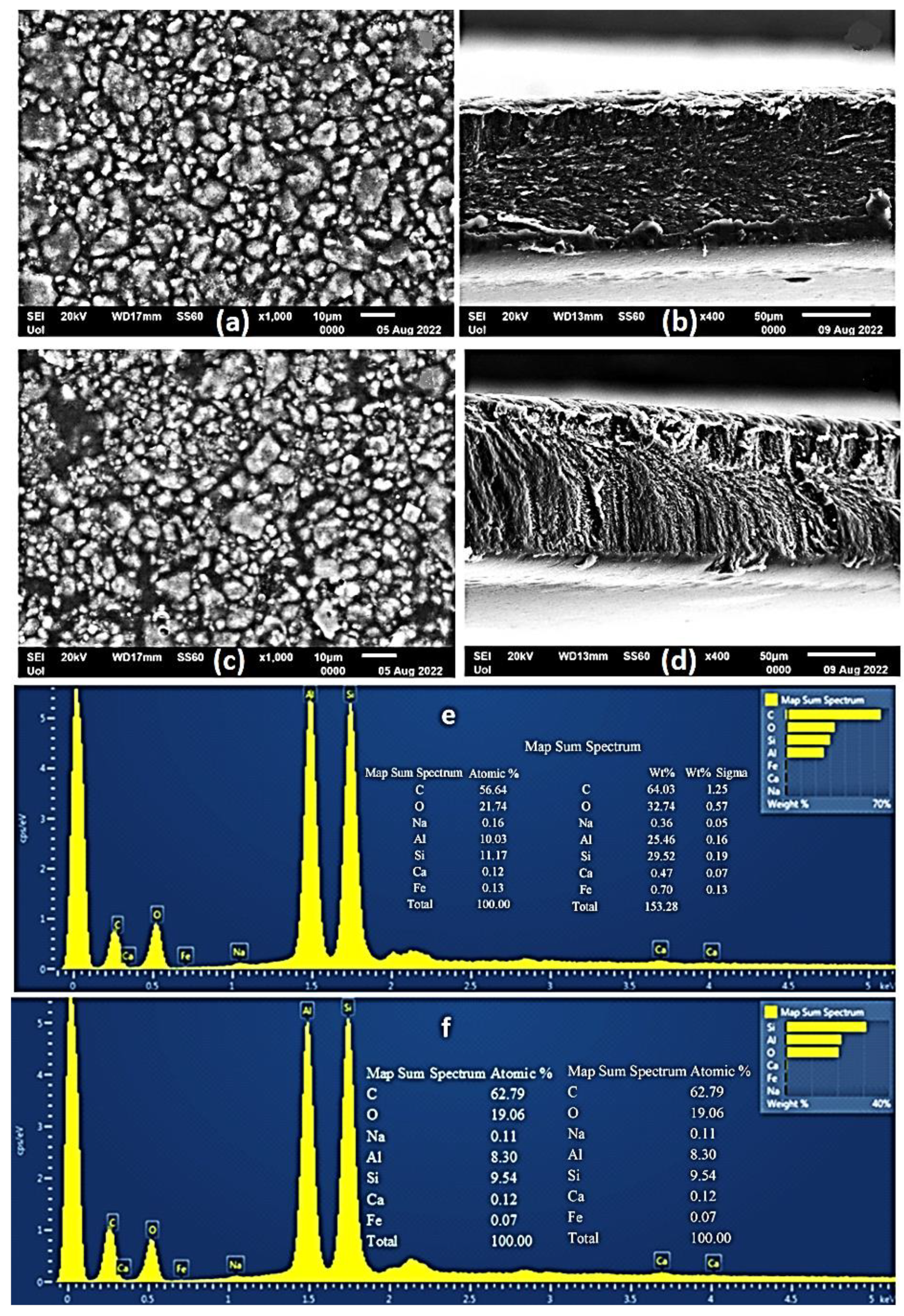 Gels 08 00823 g005 Gels 08 00823 g005