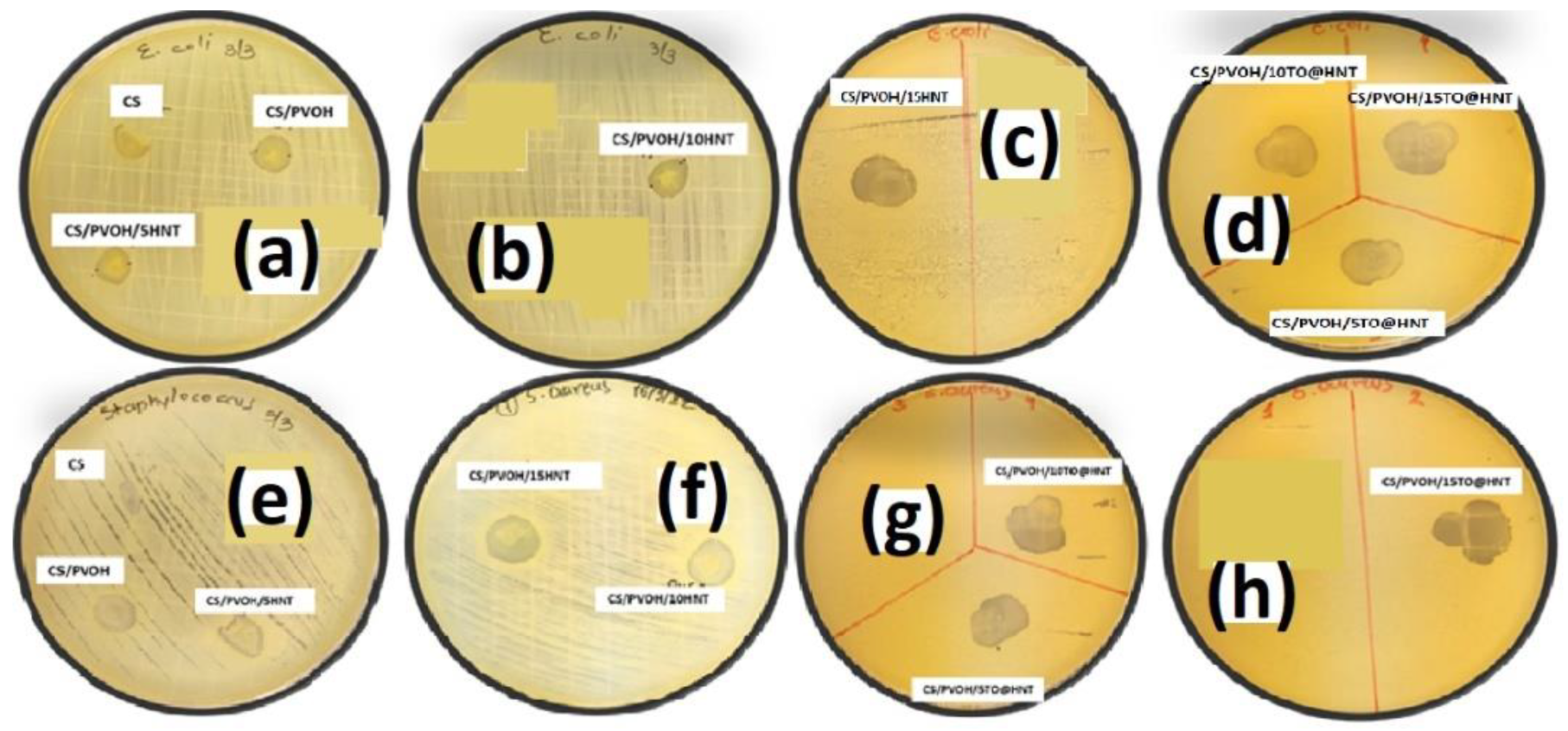 Gels 08 00823 g010 Gels 08 00823 g010