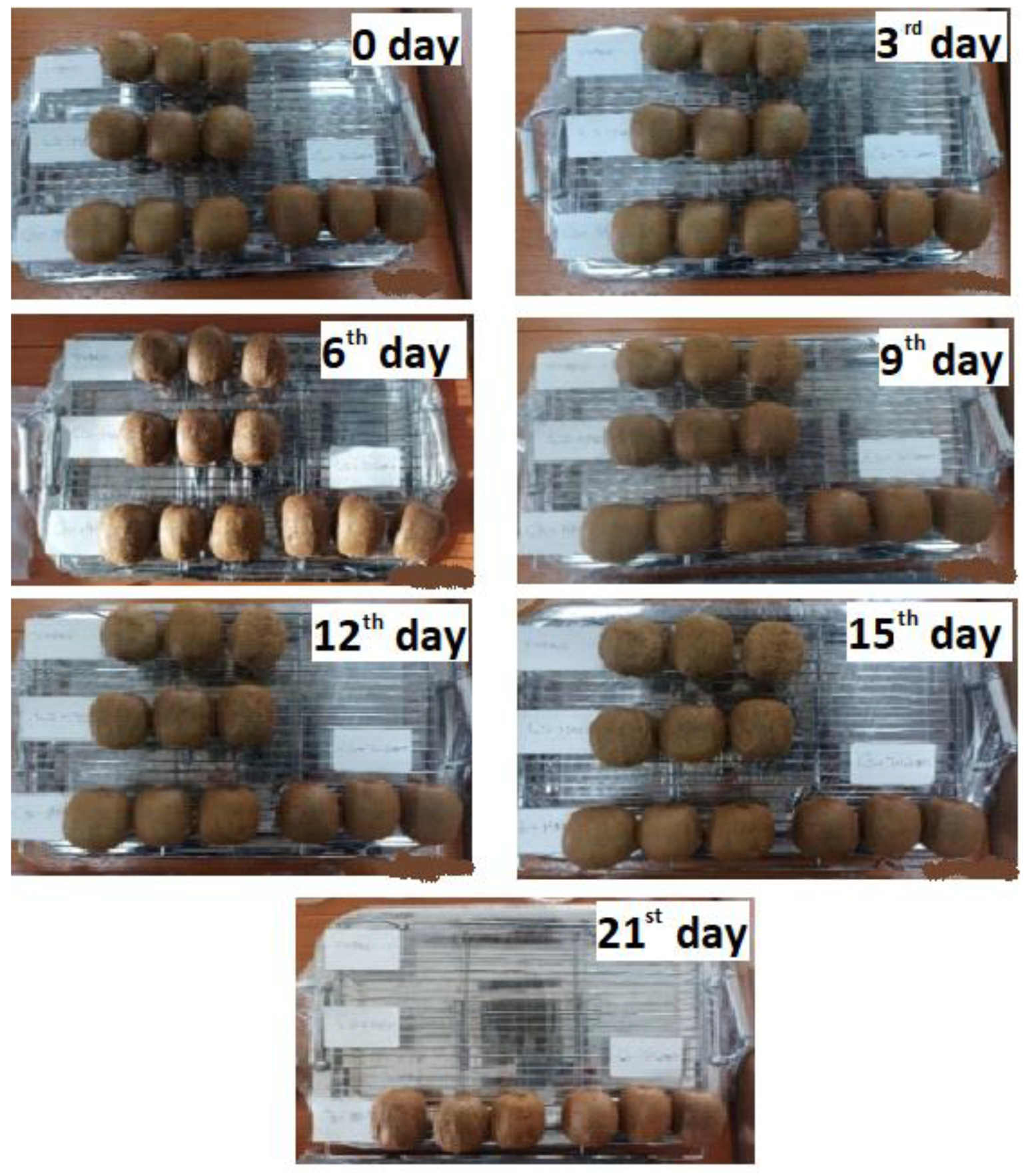 Gels 08 00823 g011 Gels 08 00823 g011