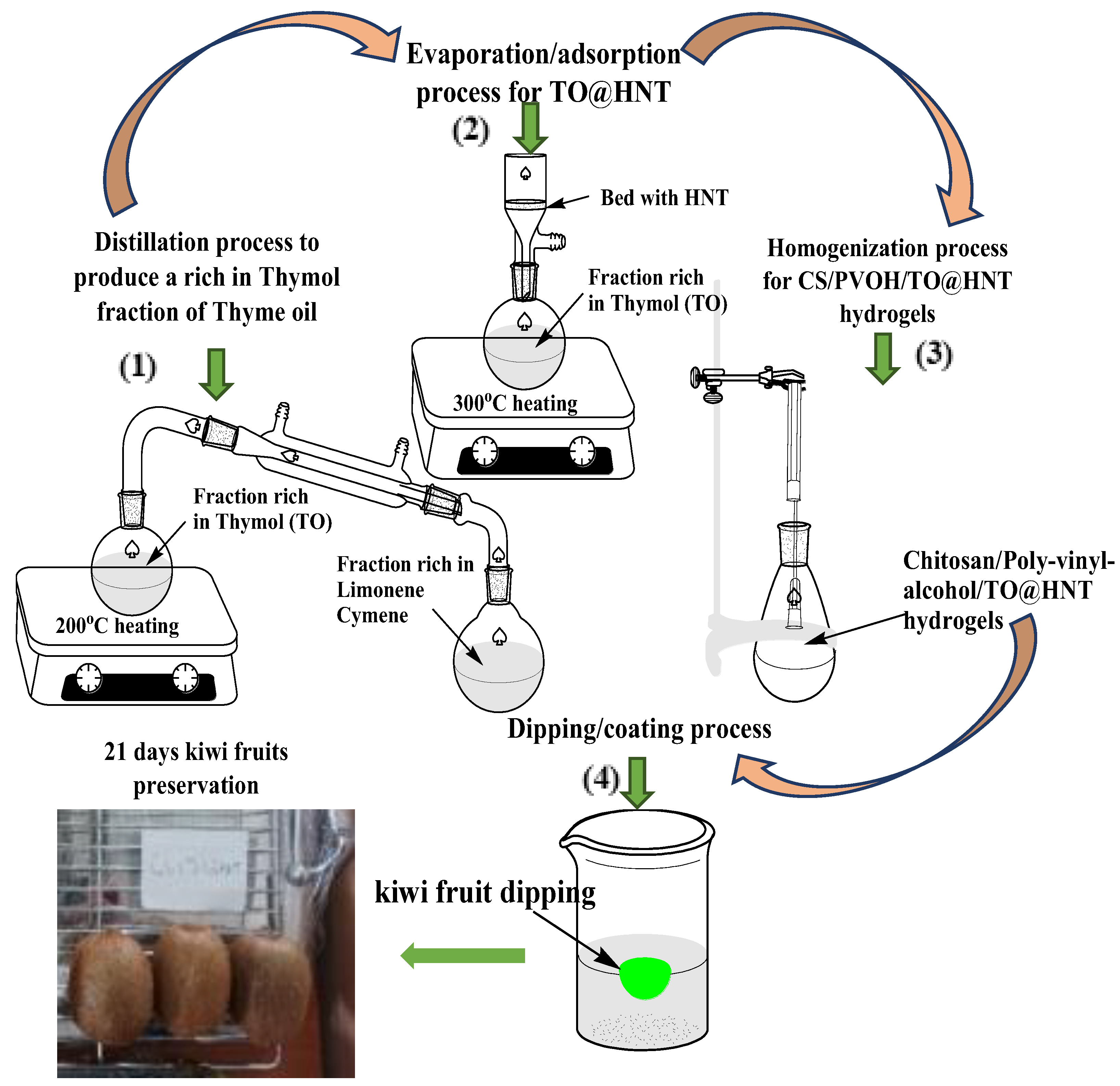 Gels 08 00823 g012 Gels 08 00823 g012