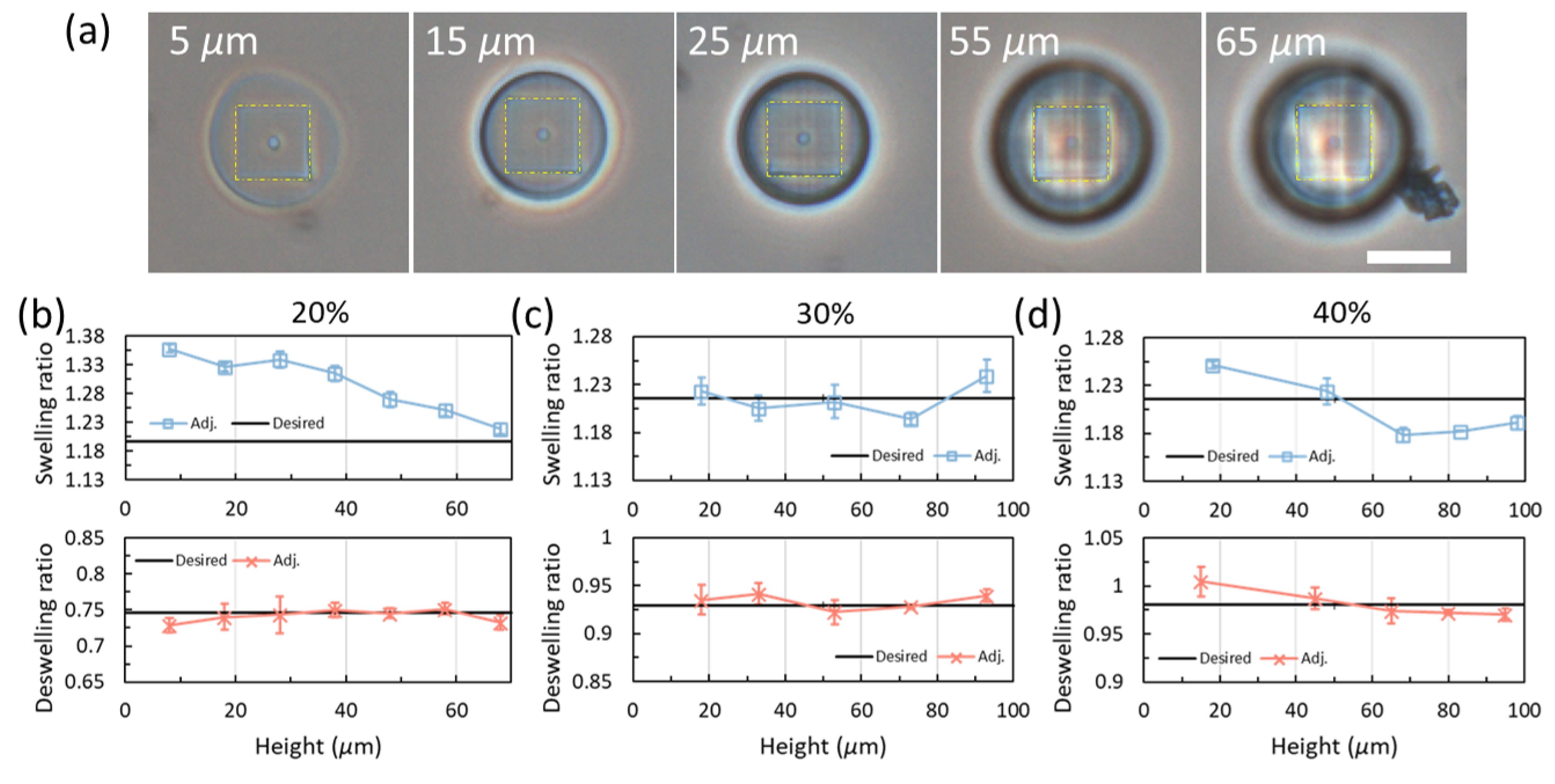 Gels 08 00828 g008 Gels 08 00828 g008
