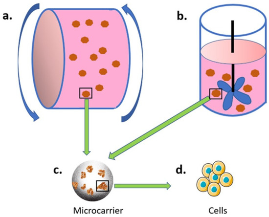 Current Advances in 3D Dynamic Cell Culture Systems Biology Diagrams