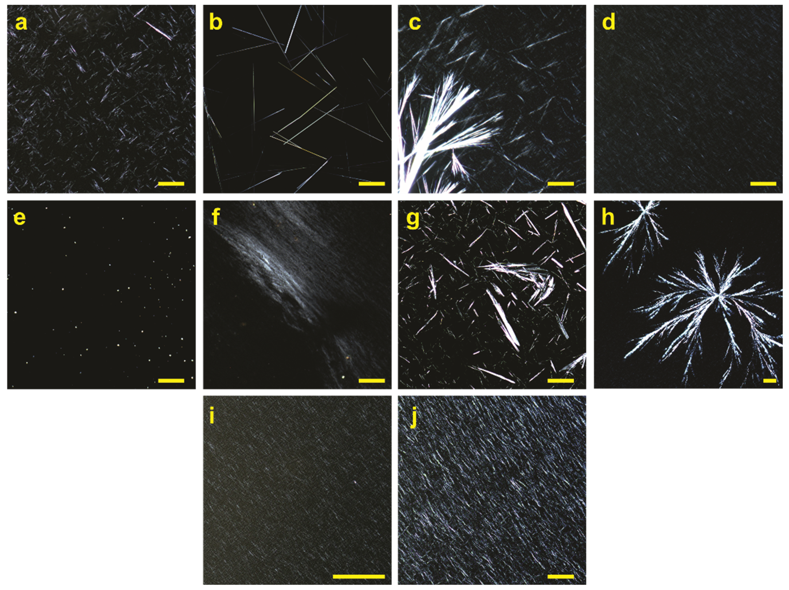 Gels 09 00005 g006 Gels 09 00005 g006