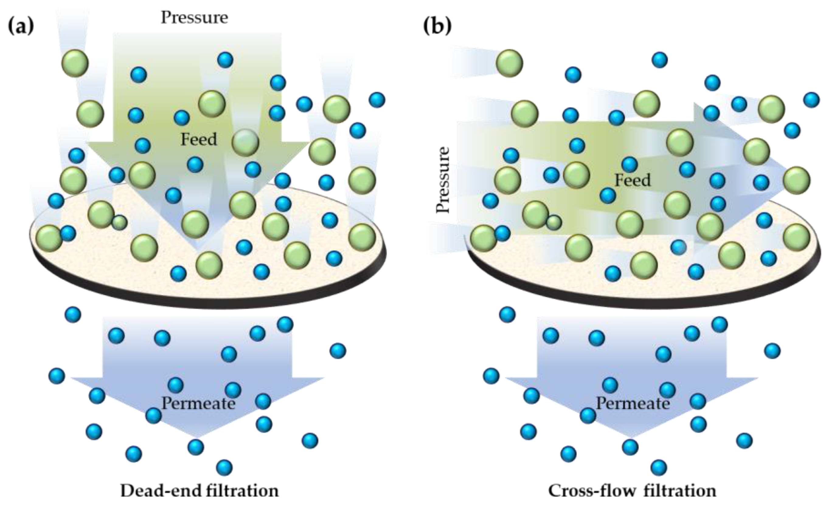 Gels 09 00009 g001 Gels 09 00009 g001