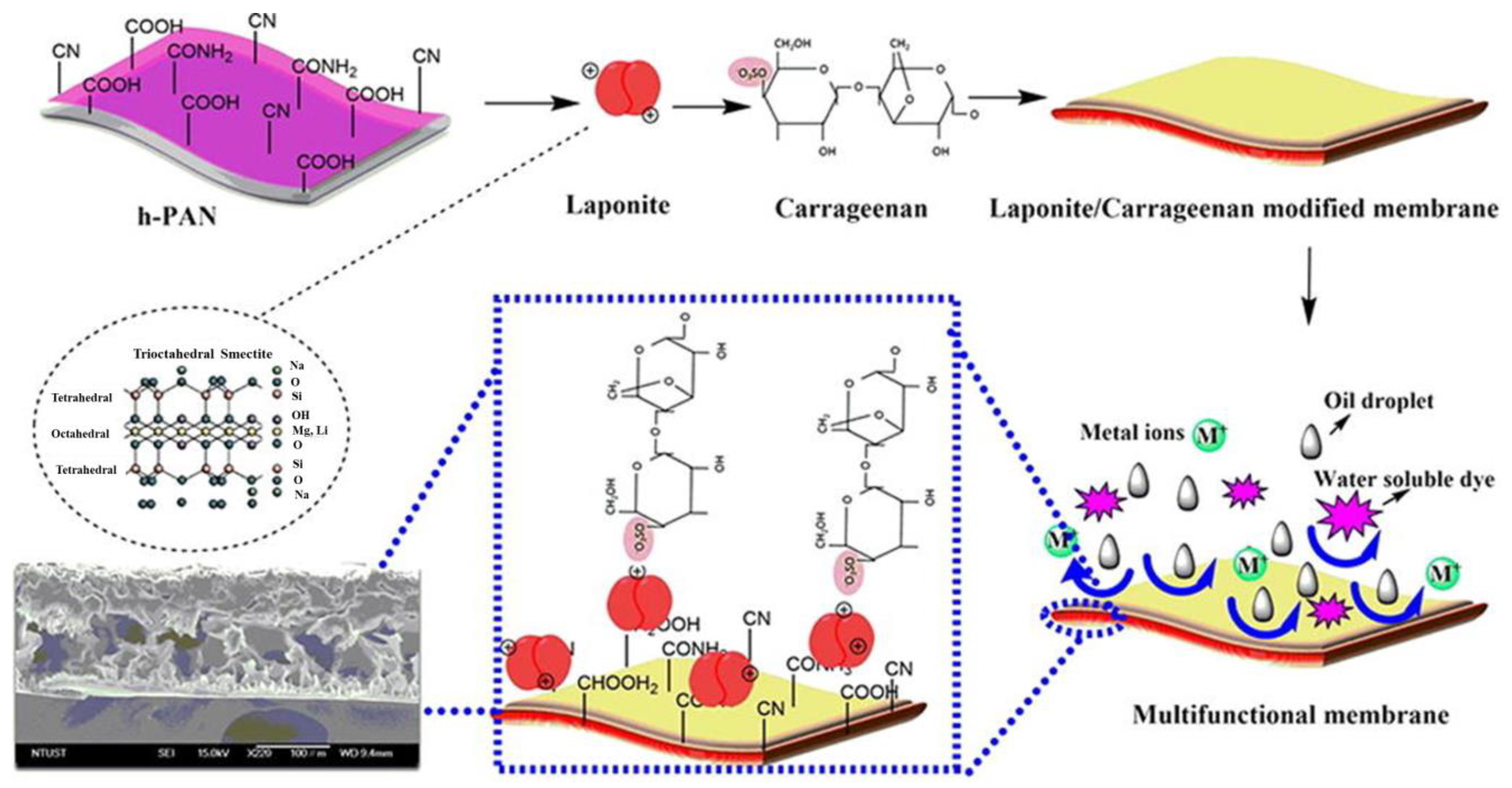 Gels 09 00009 g007 Gels 09 00009 g007
