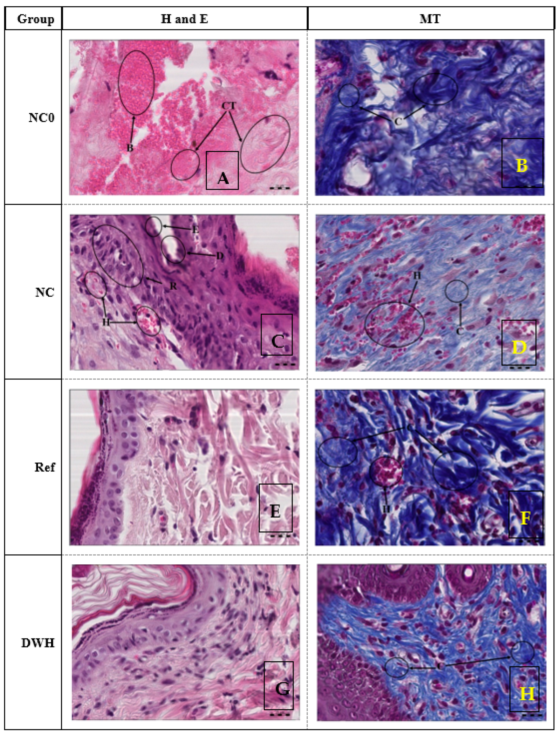 Gels 09 00021 g013 Gels 09 00021 g013