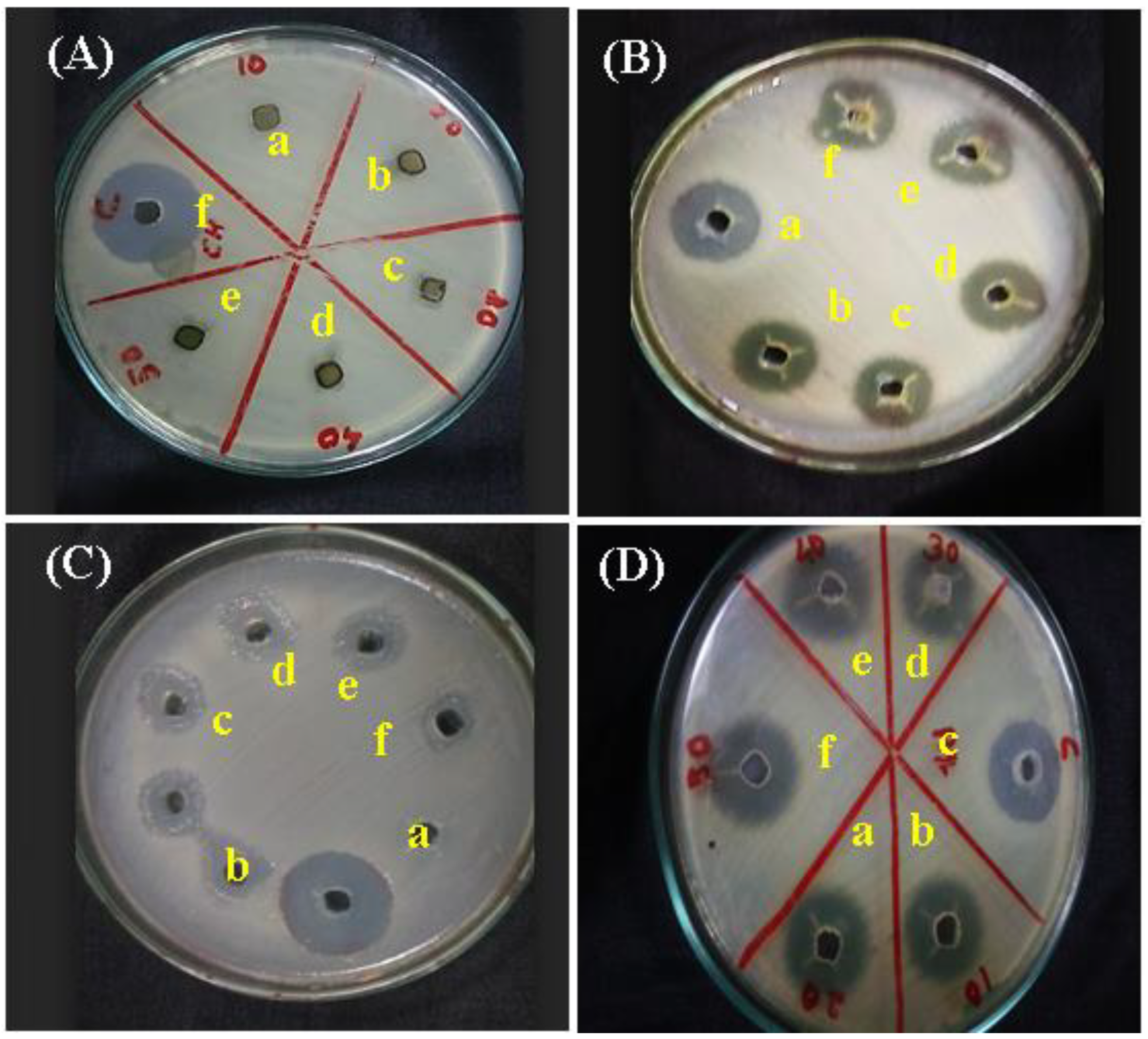 Gels 09 00022 g010 Gels 09 00022 g010
