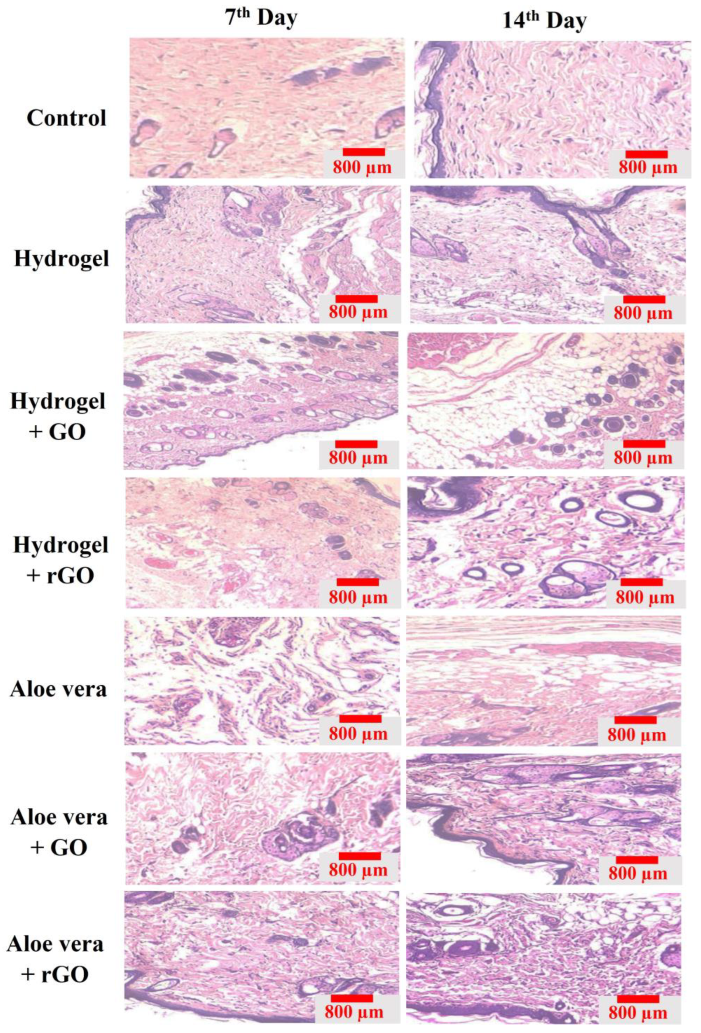 Gels 09 00022 g017 Gels 09 00022 g017