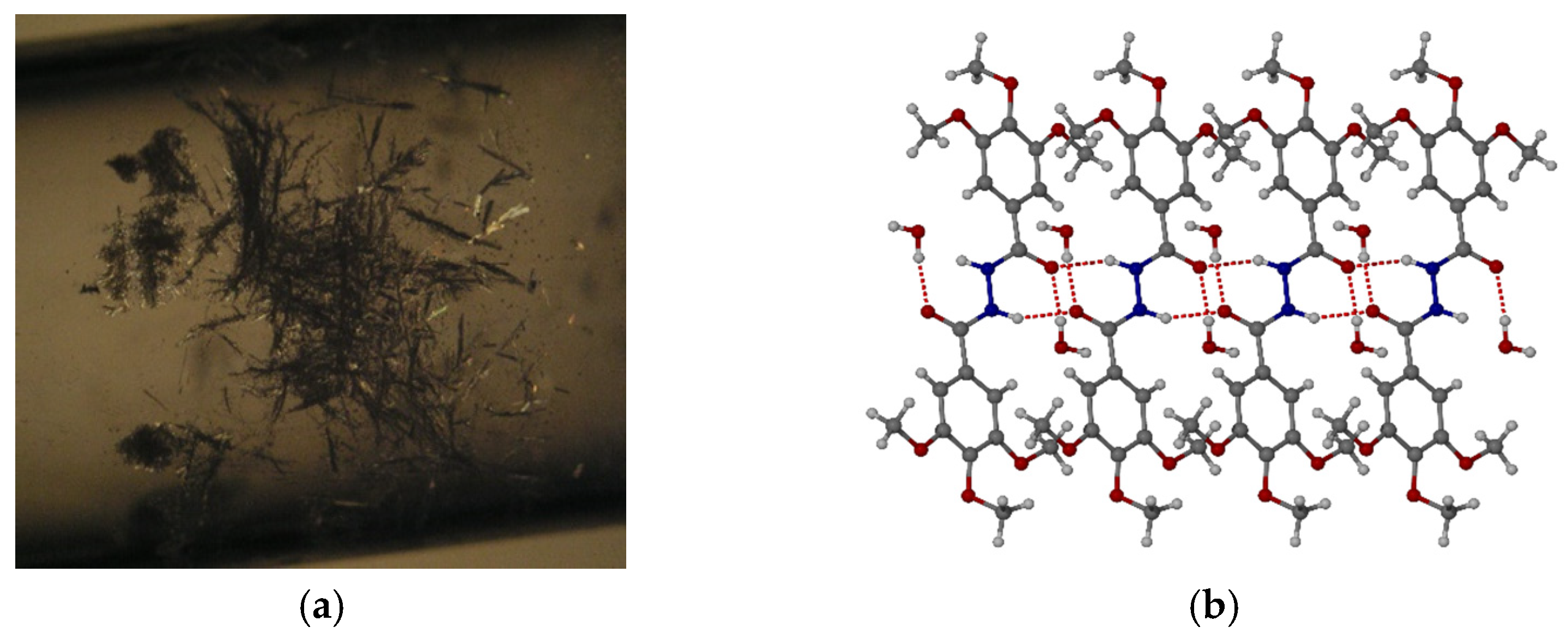 Gels 09 00026 g003 Gels 09 00026 g003