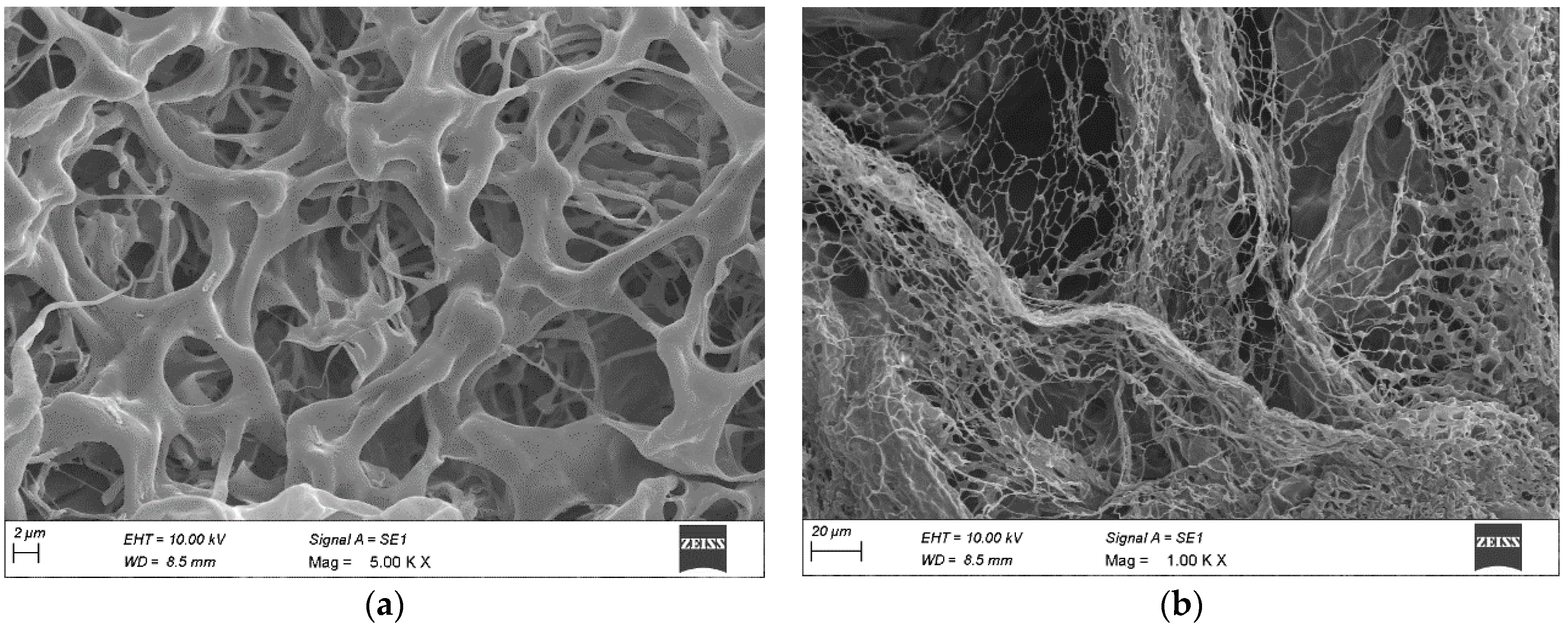 Gels 09 00027 g006 Gels 09 00027 g006