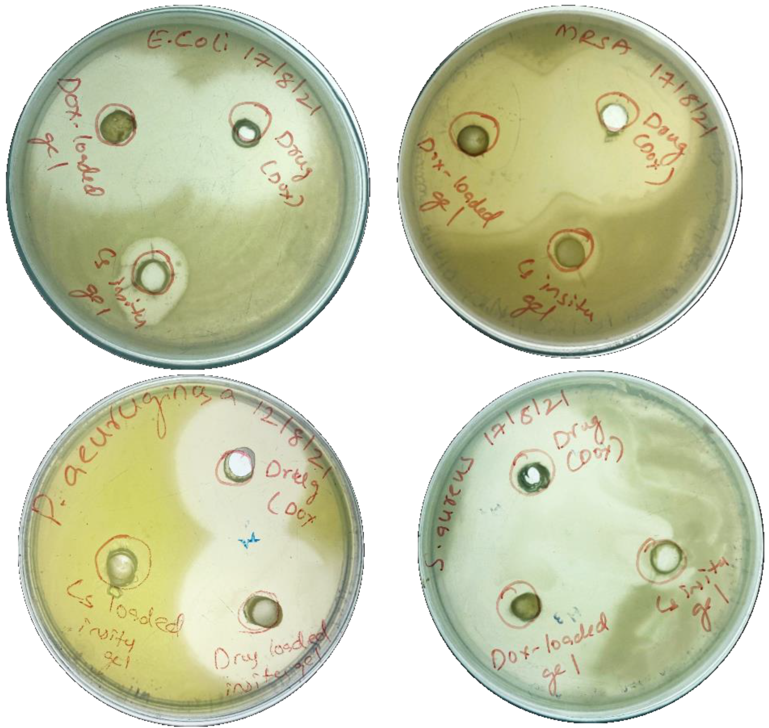 Gels 09 00027 g011 Gels 09 00027 g011