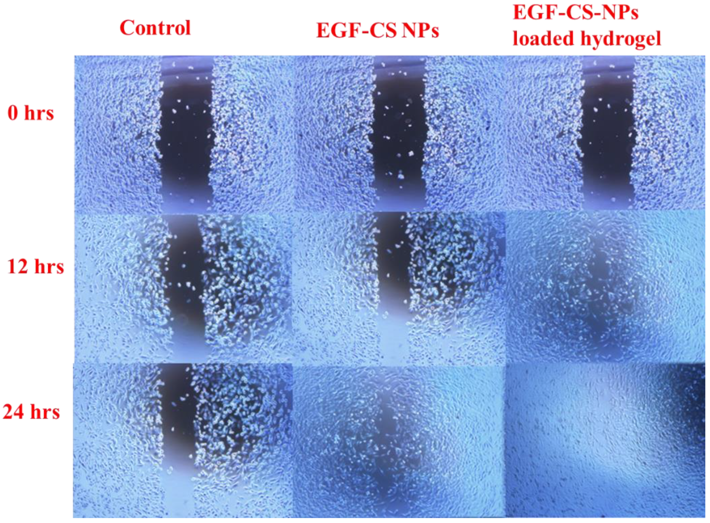 Gels 09 00027 g012 Gels 09 00027 g012