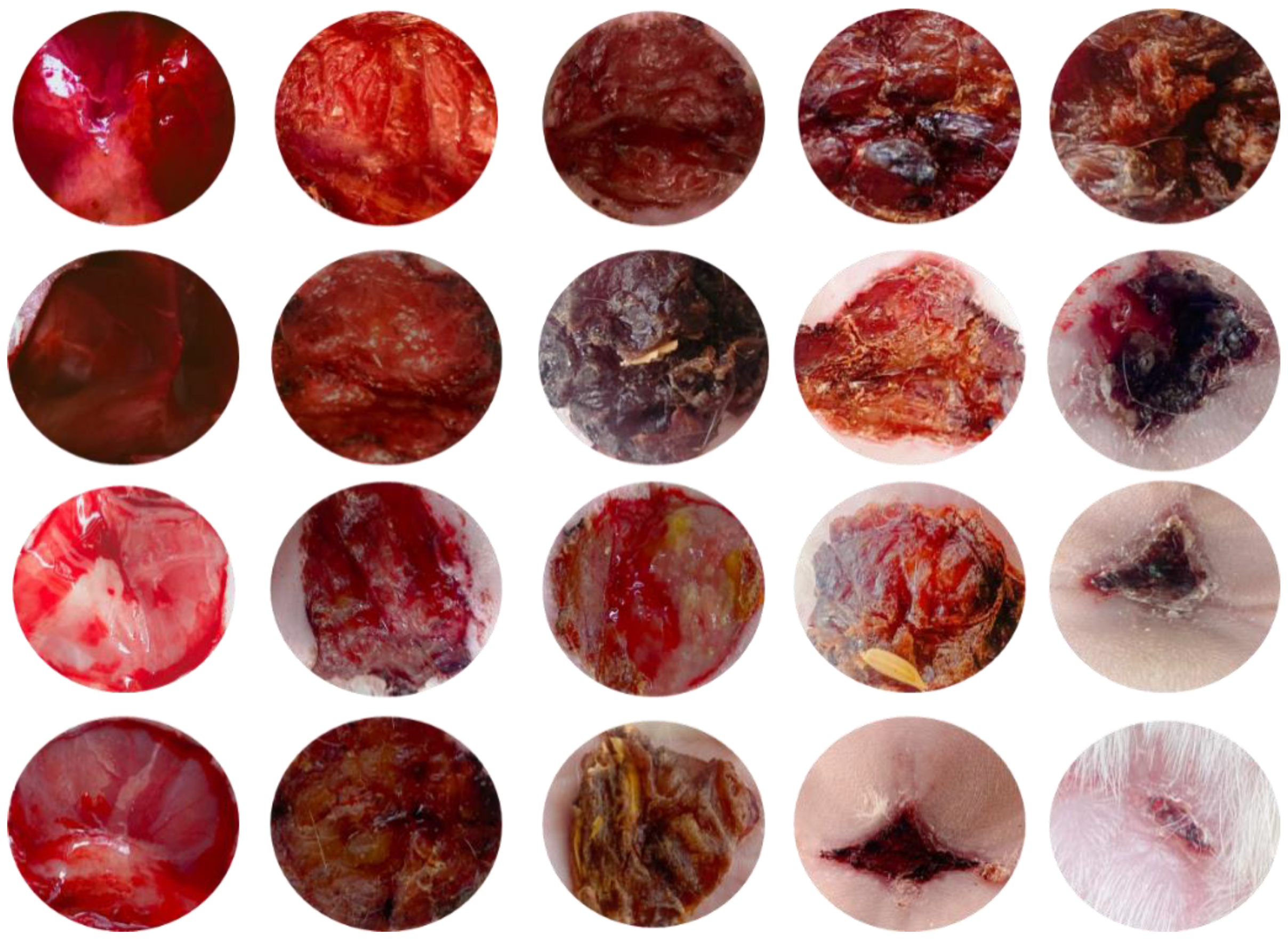 Gels 09 00027 g013 Gels 09 00027 g013