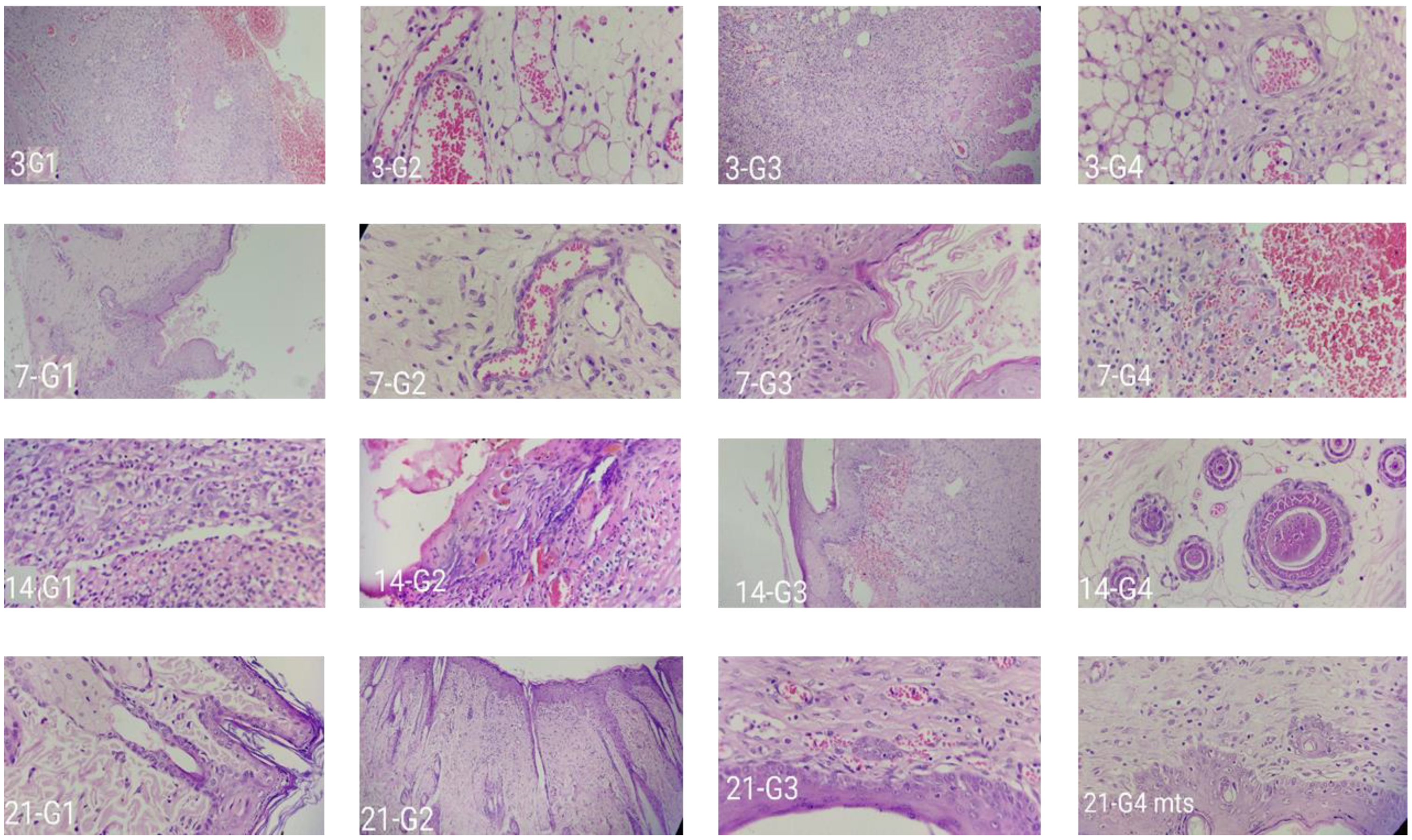 Gels 09 00027 g015 Gels 09 00027 g015