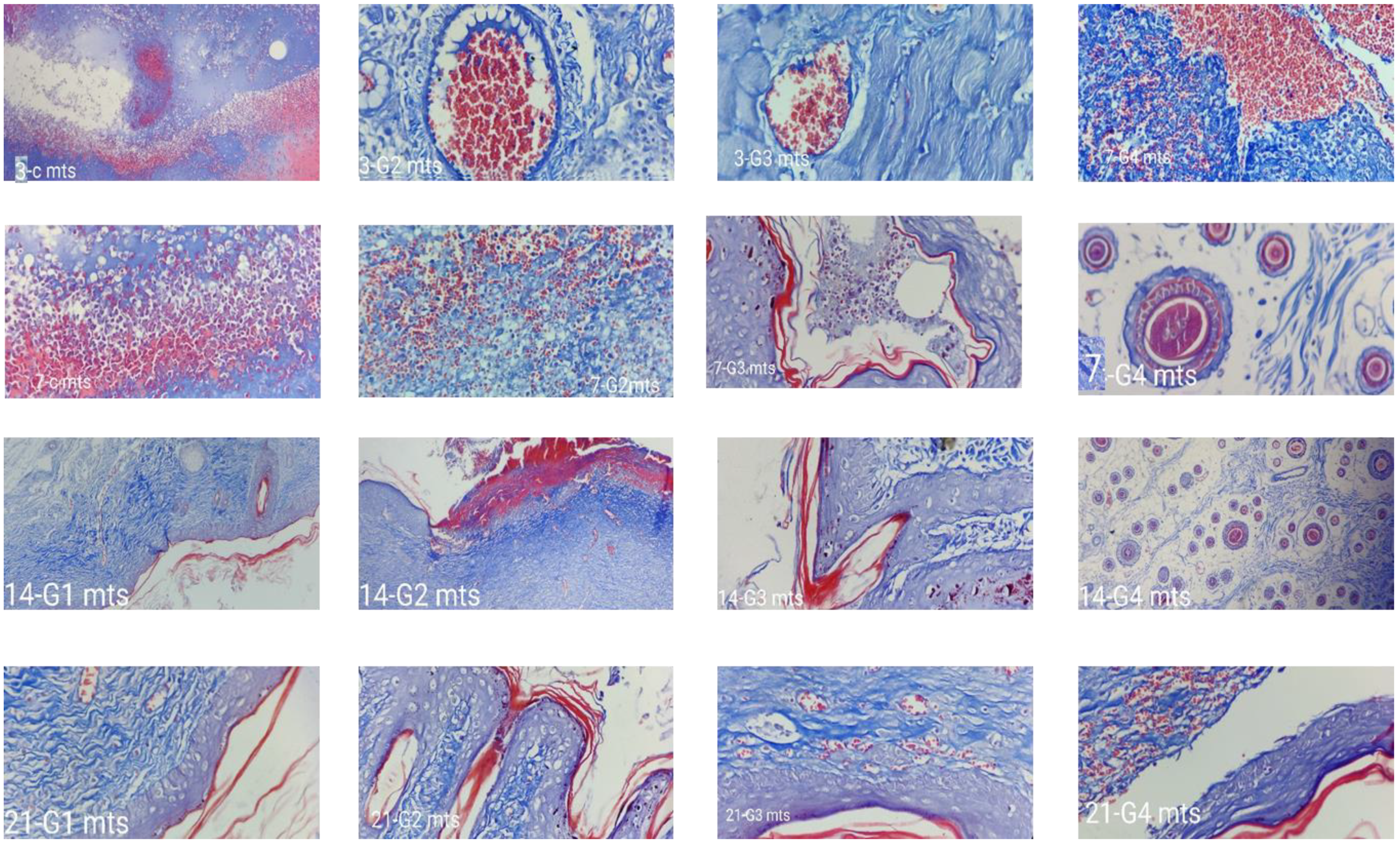 Gels 09 00027 g016 Gels 09 00027 g016