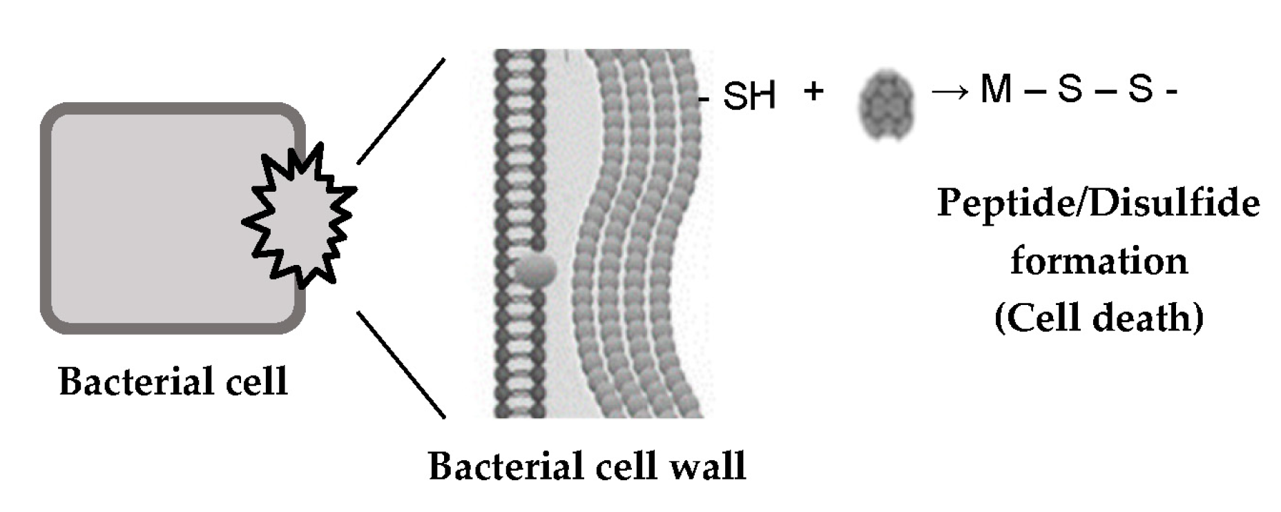 Gels 09 00053 g008 Gels 09 00053 g008