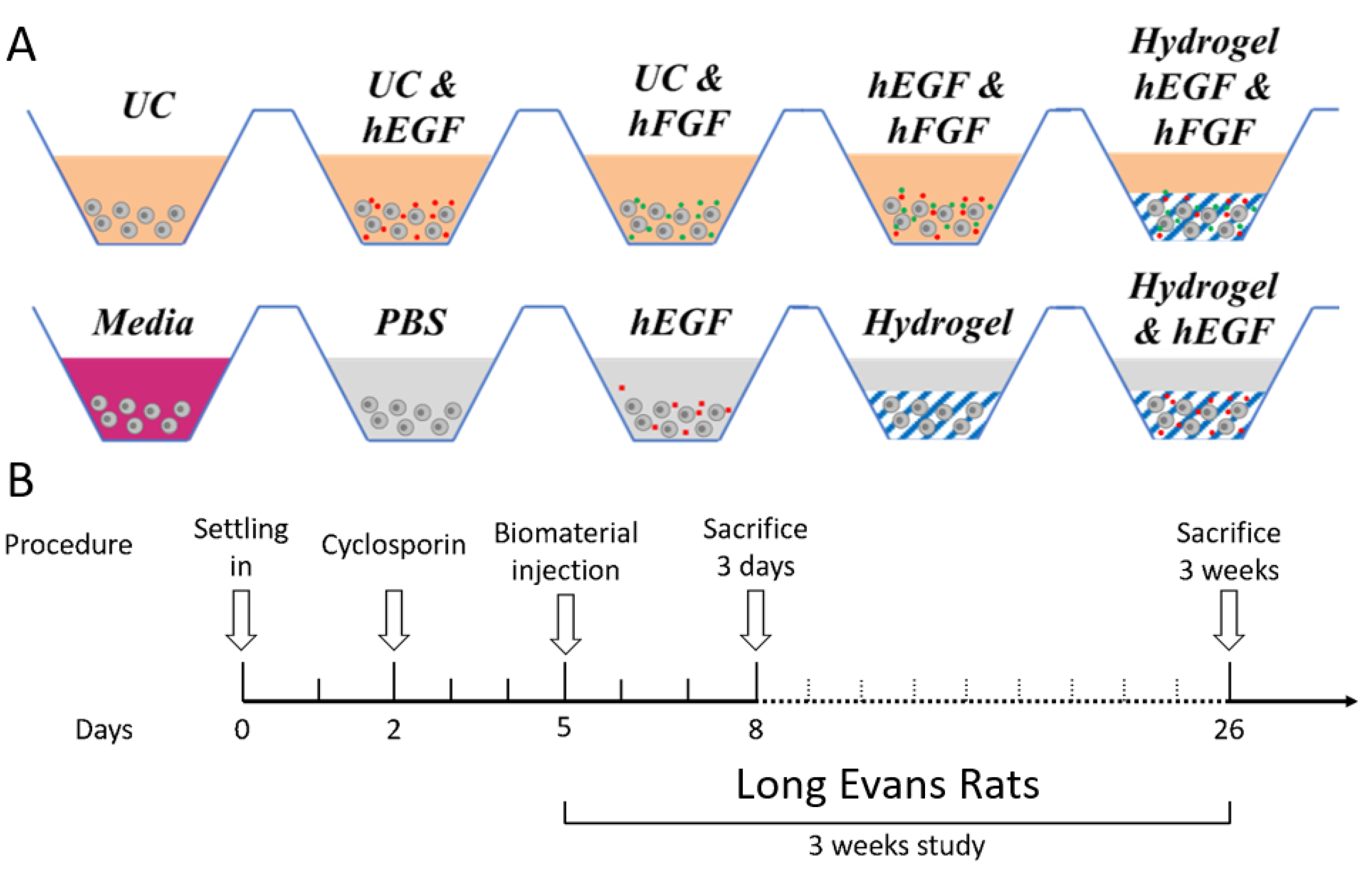 Gels 09 00058 g002 Gels 09 00058 g002