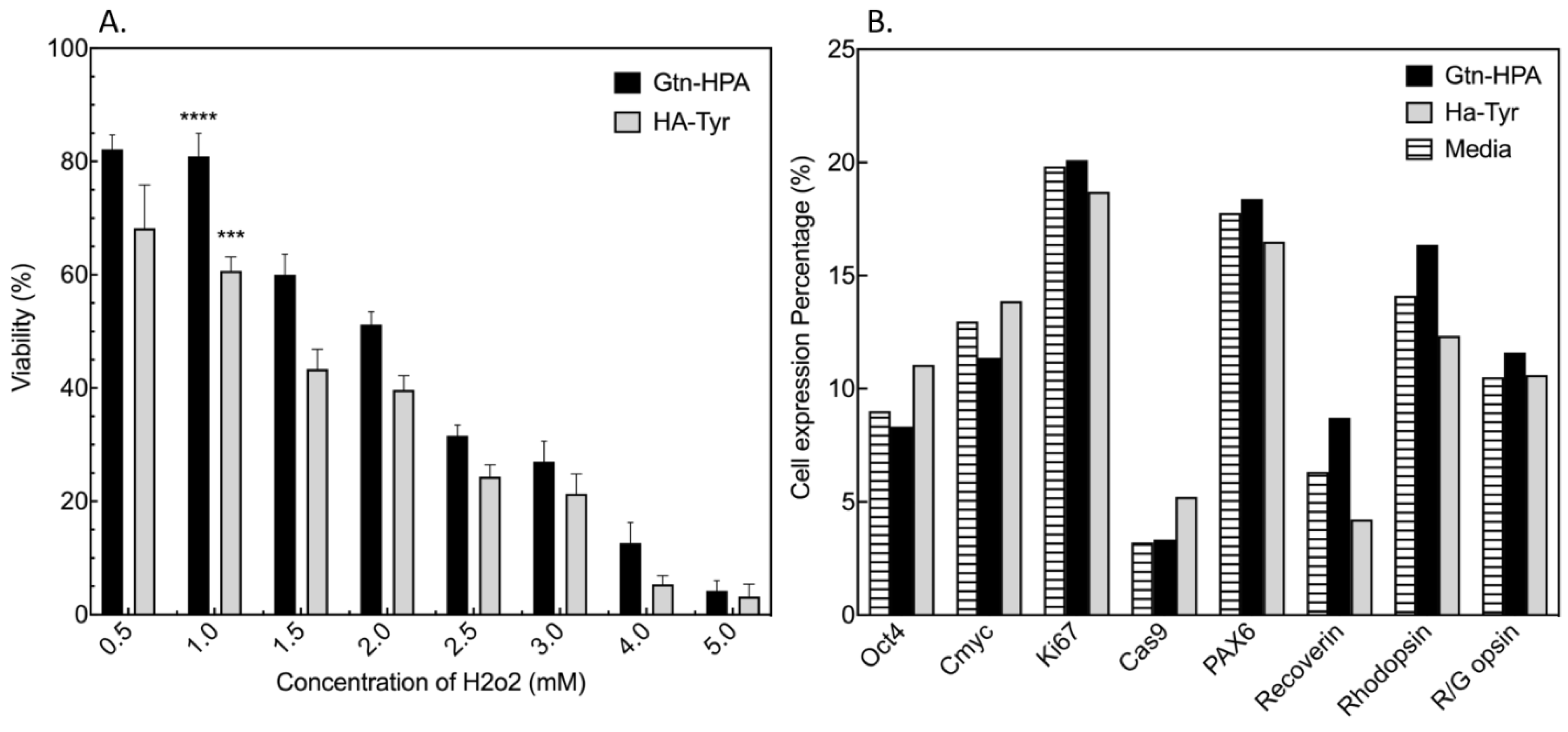 Gels 09 00058 g003 Gels 09 00058 g003