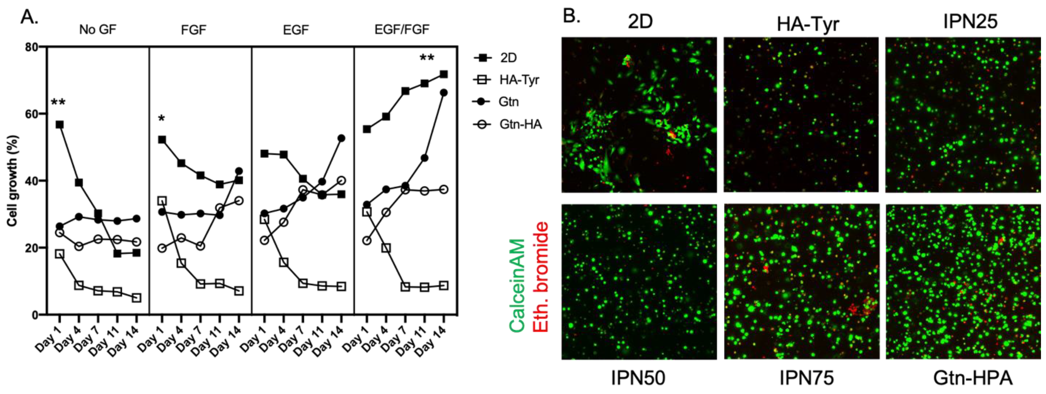 Gels 09 00058 g004 Gels 09 00058 g004