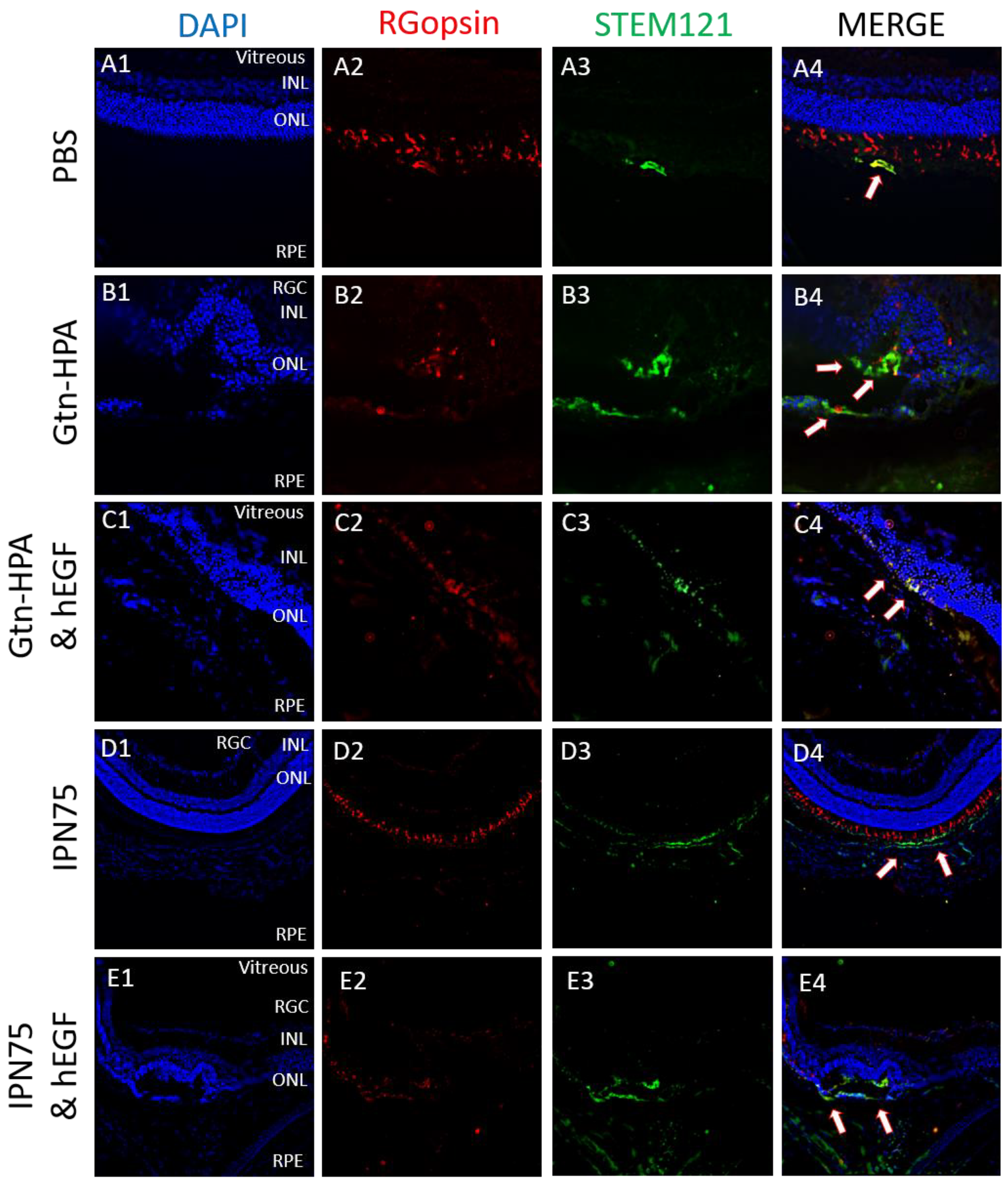 Gels 09 00058 g009 Gels 09 00058 g009