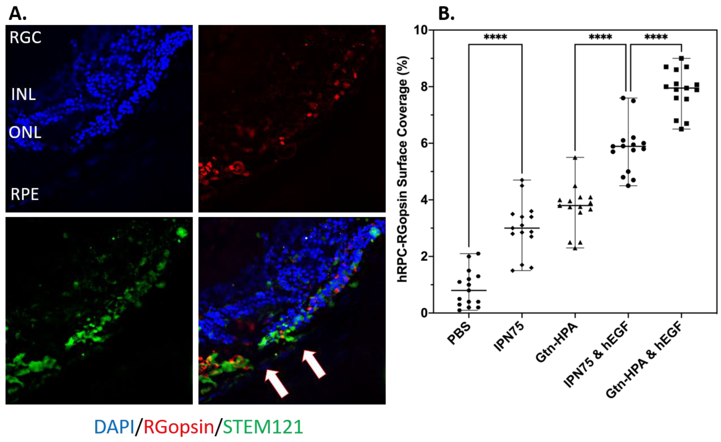 Gels 09 00058 g010 Gels 09 00058 g010