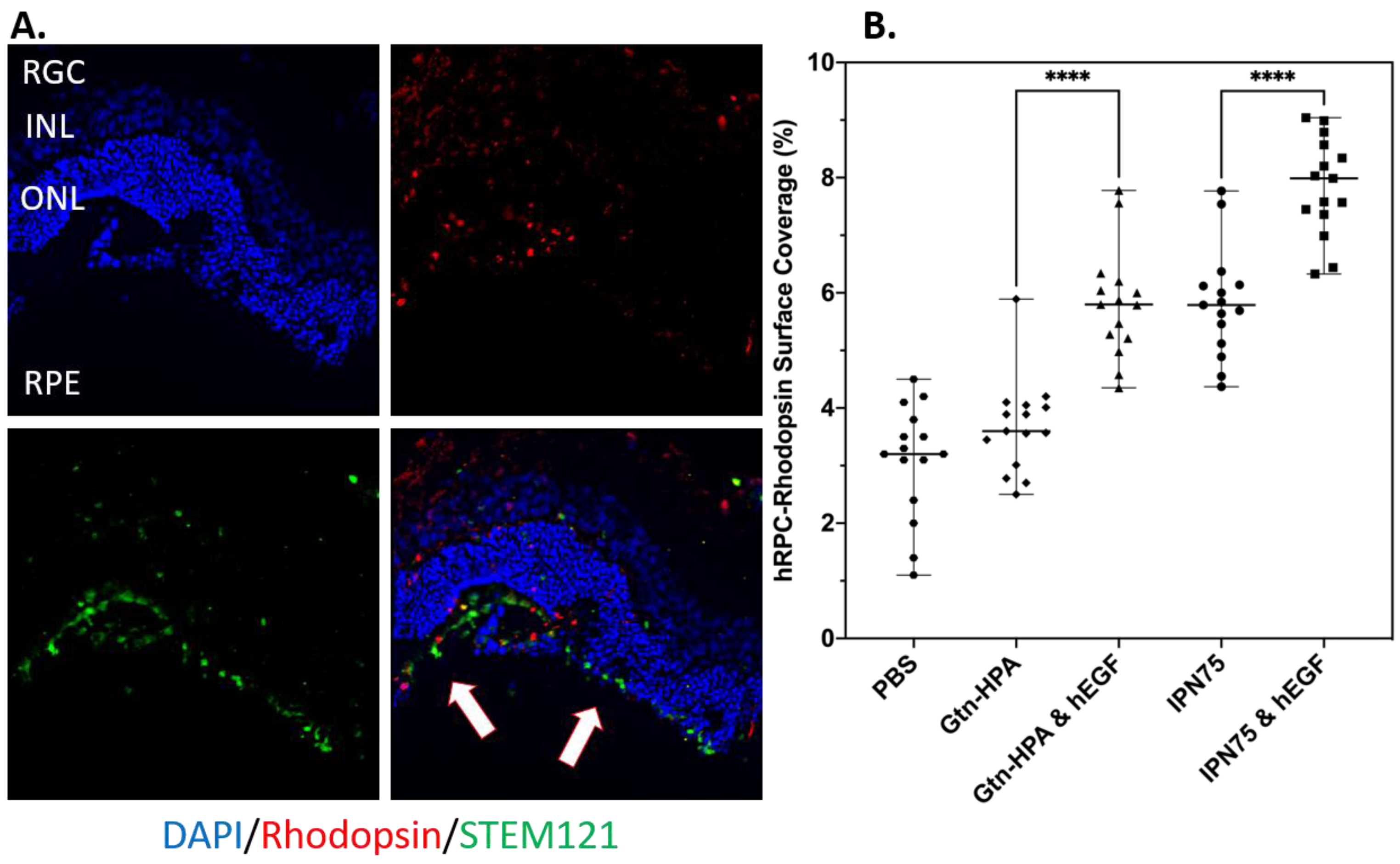 Gels 09 00058 g011 Gels 09 00058 g011