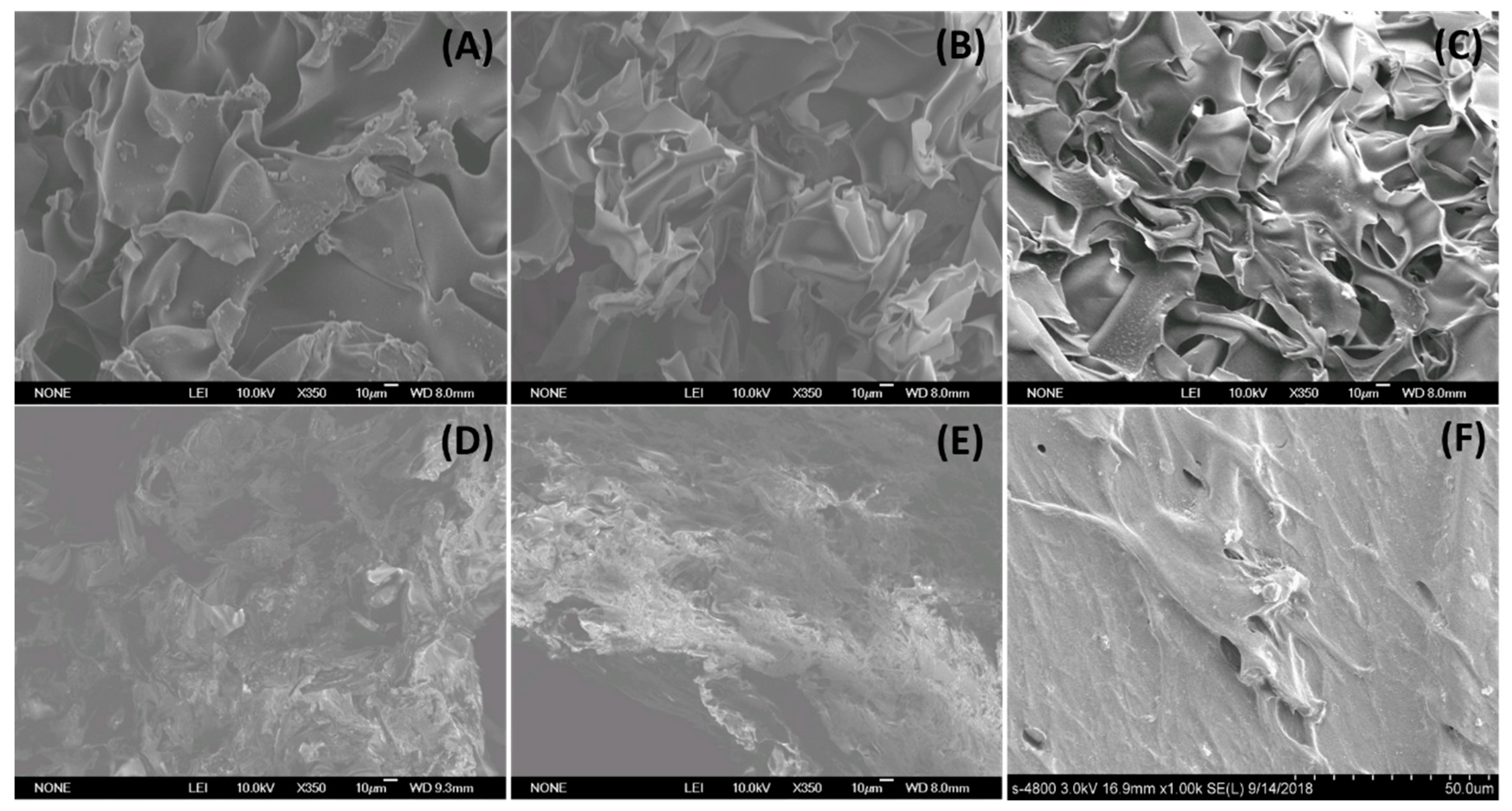 Gels 09 00064 g001 Gels 09 00064 g001