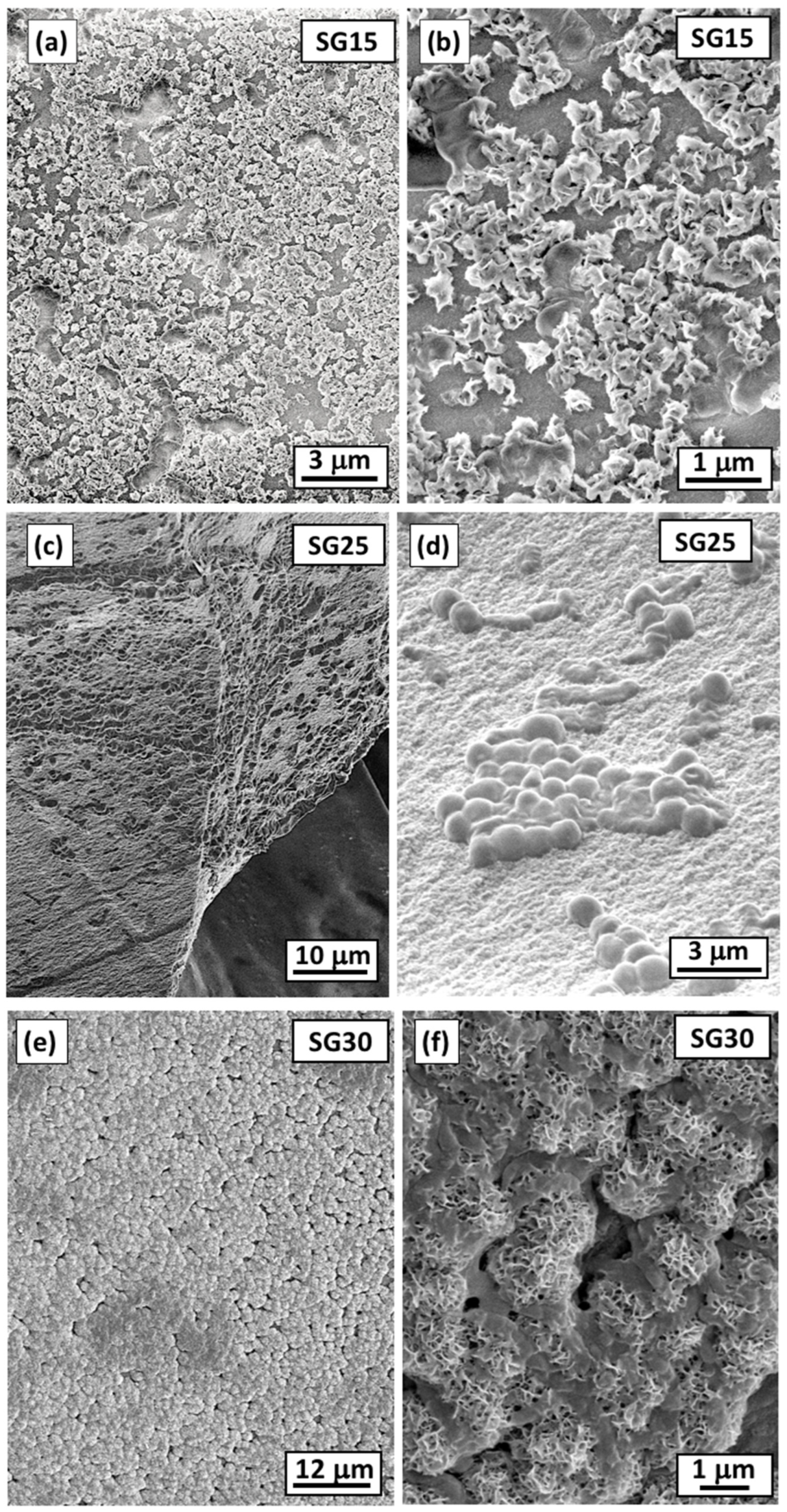 Gels 09 00067 g007 Gels 09 00067 g007