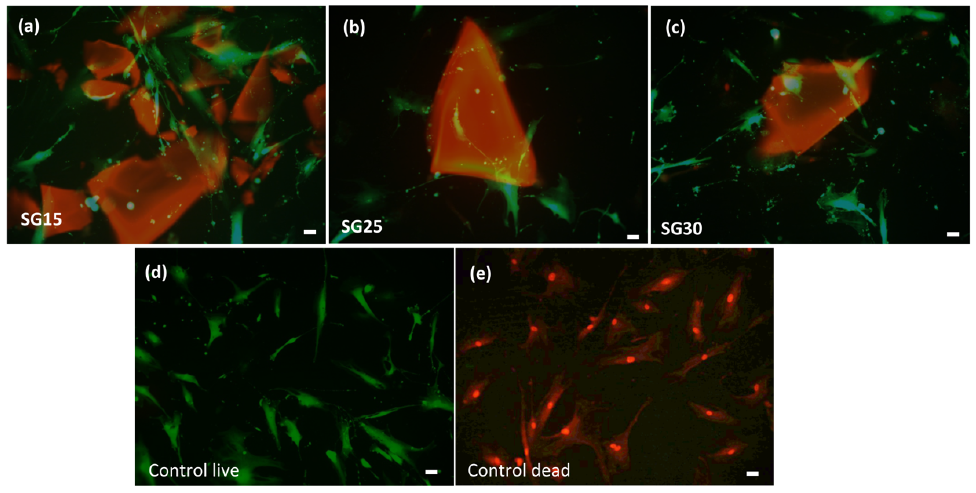 Gels 09 00067 g009 Gels 09 00067 g009