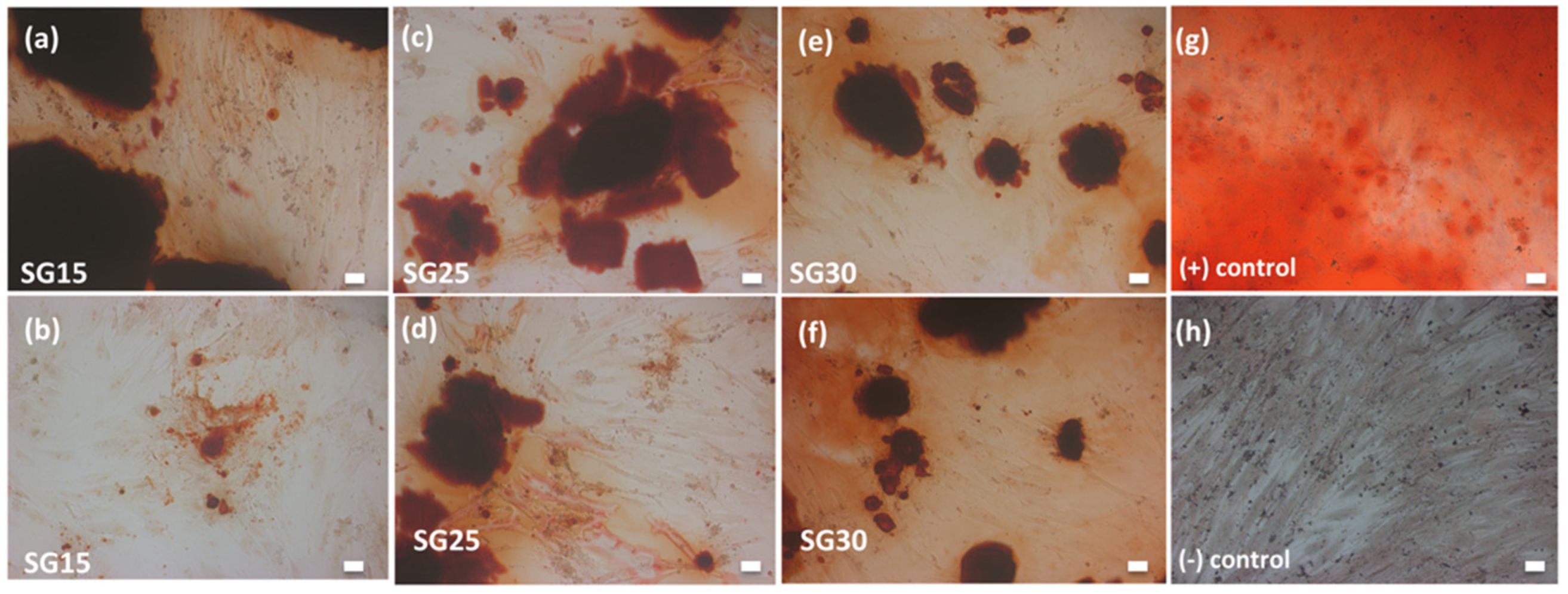Gels 09 00067 g012 Gels 09 00067 g012